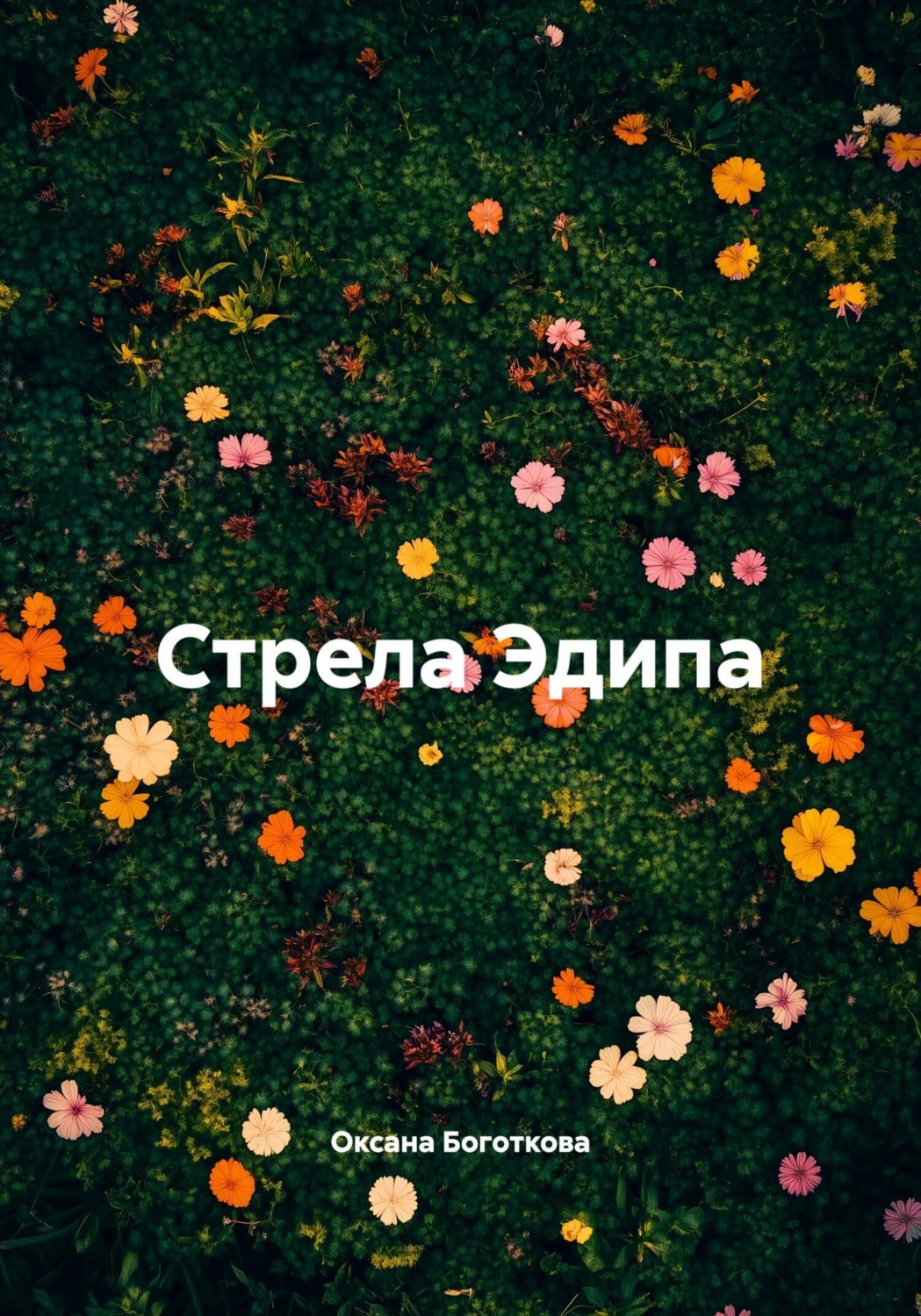 Обложка книги «Стрела Эдипа»