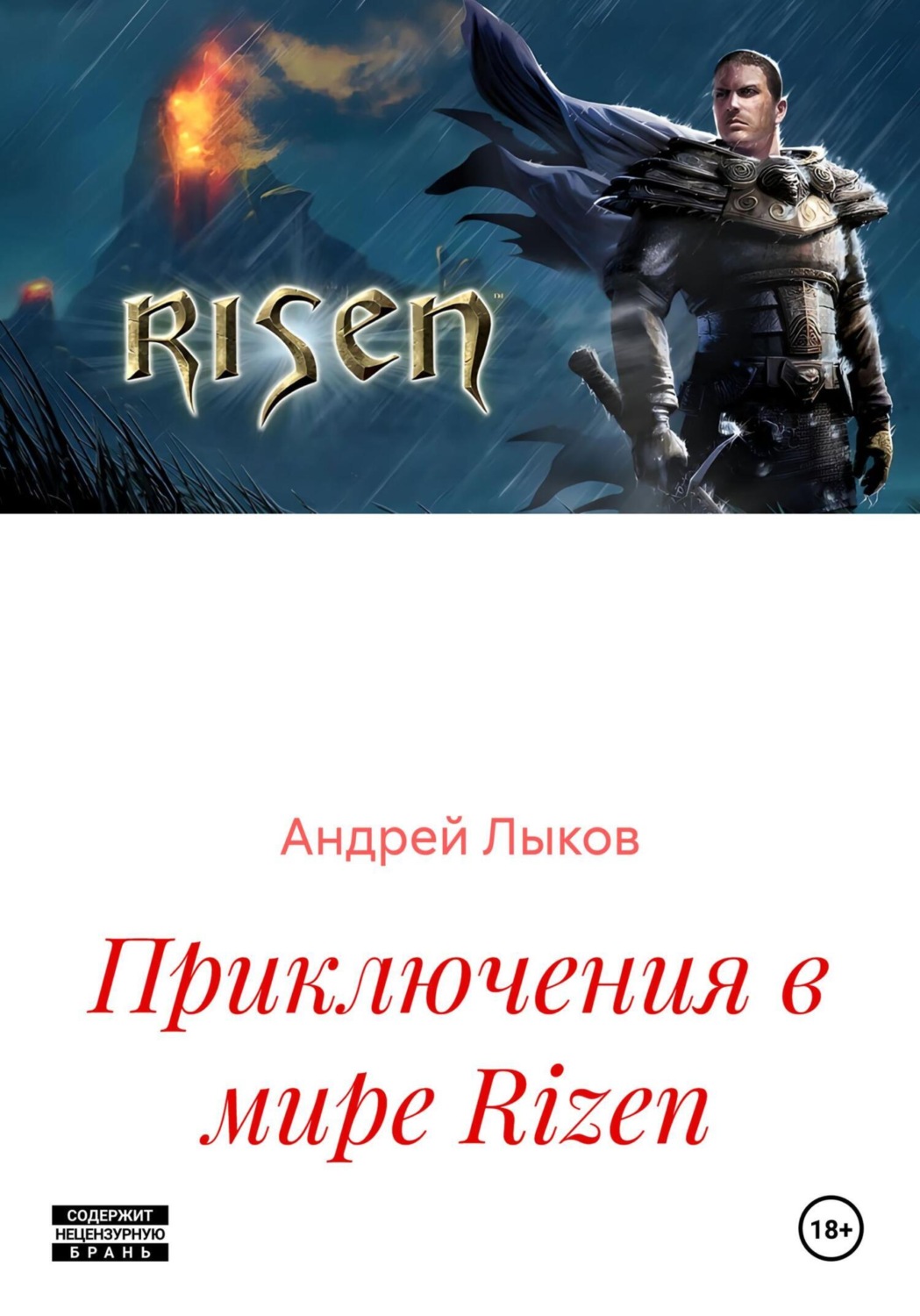 Обложка книги «Приключения в мире Rizen»