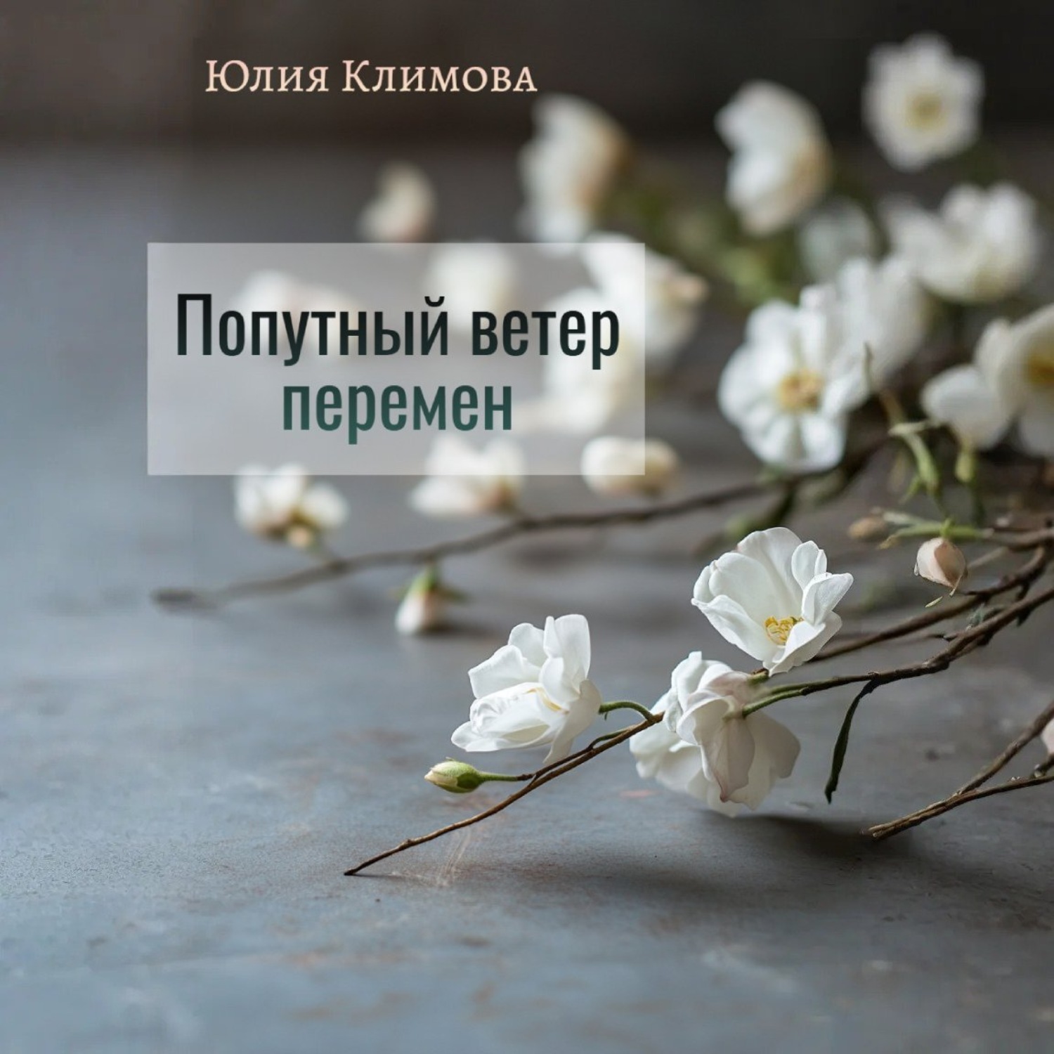 Обложка книги «Попутный ветер перемен»