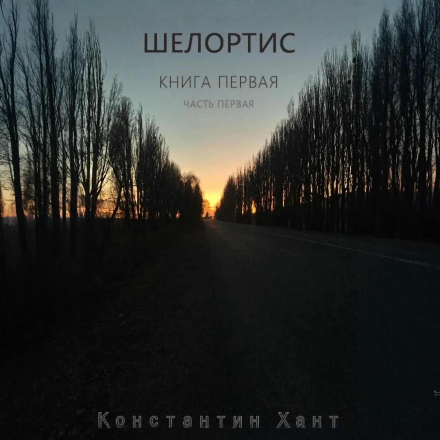 Обложка книги «Шелортис. Книга первая. Часть первая»