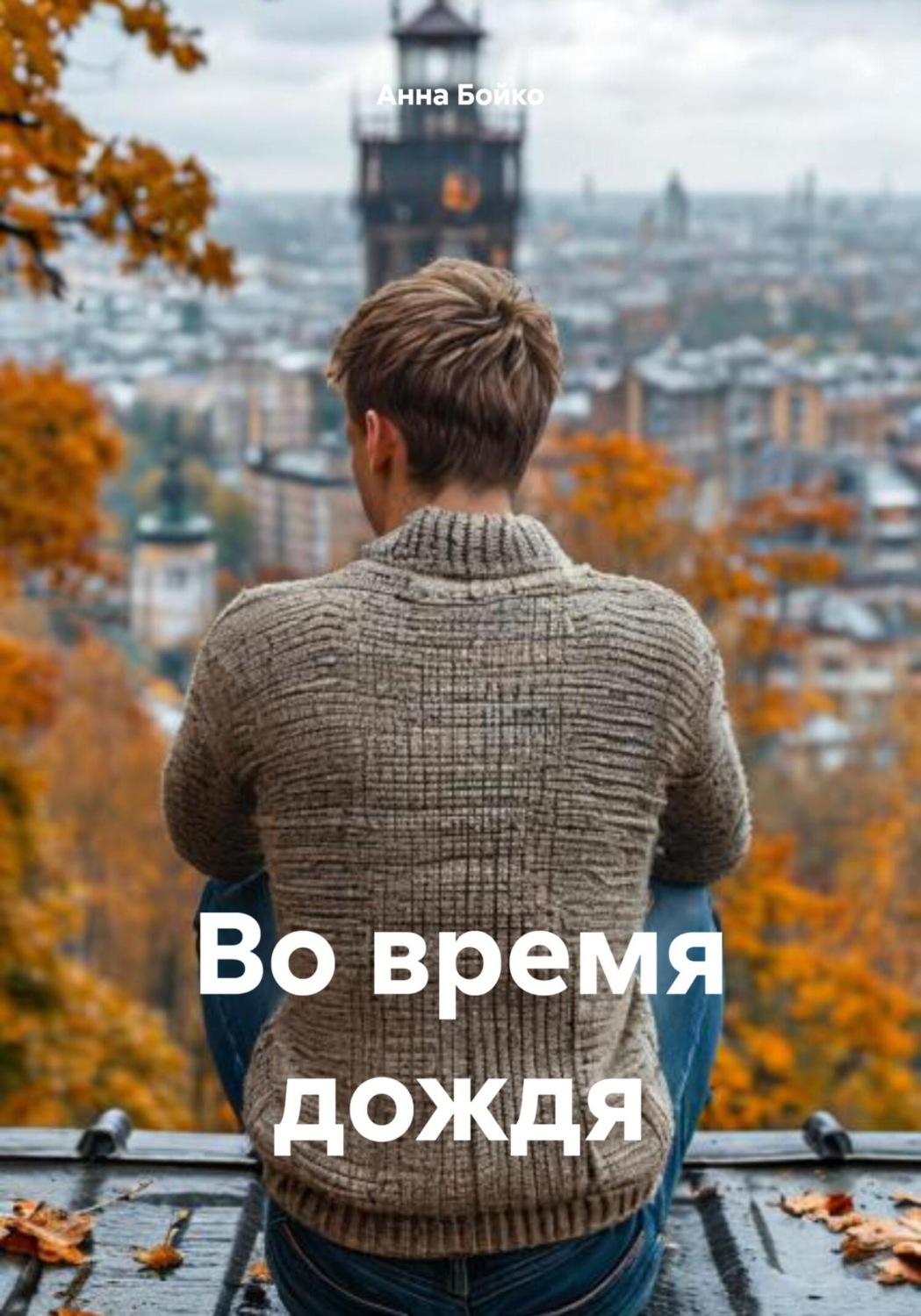 Обложка книги «Во время дождя»