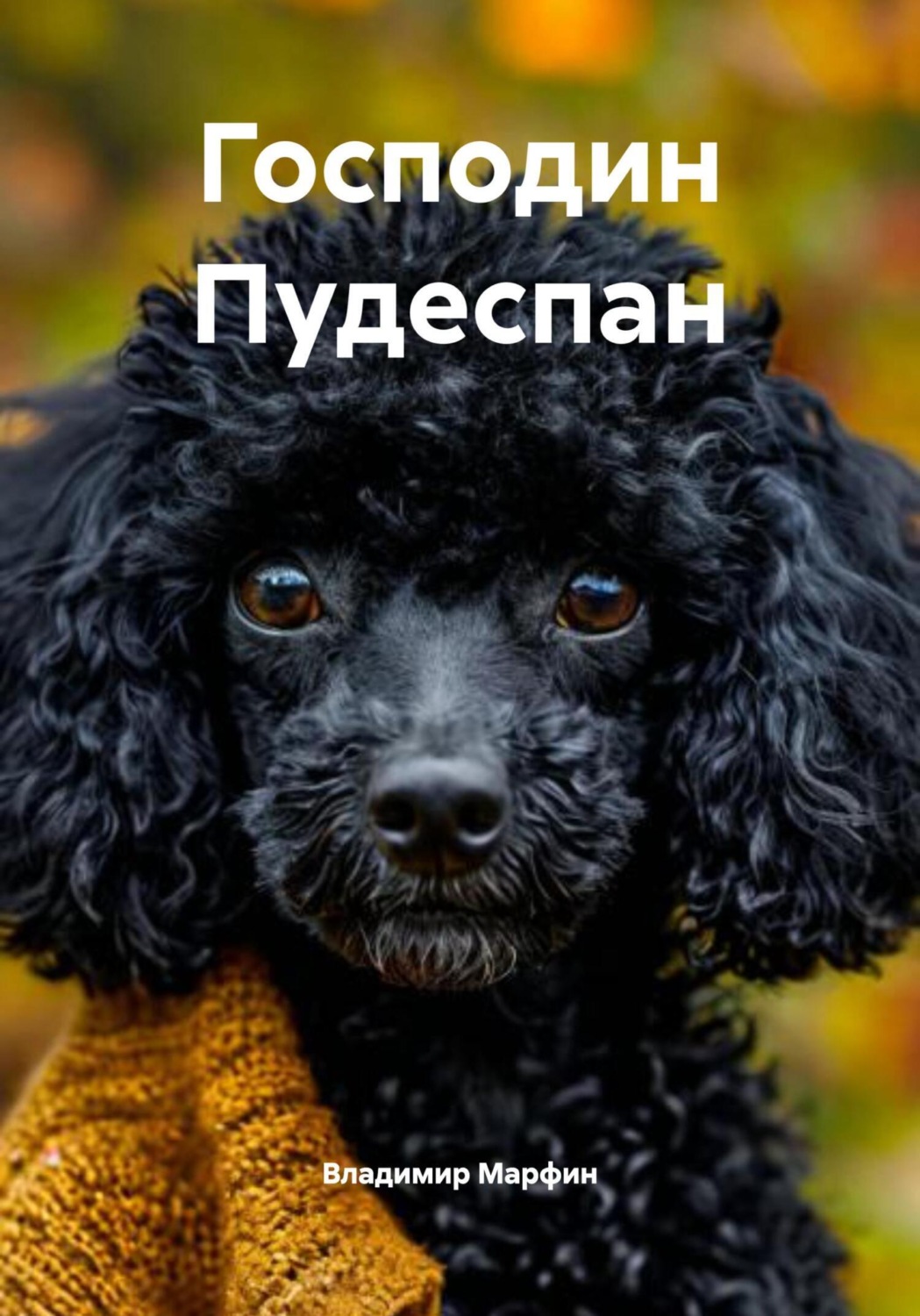 Обложка книги «Господин Пудеспан»