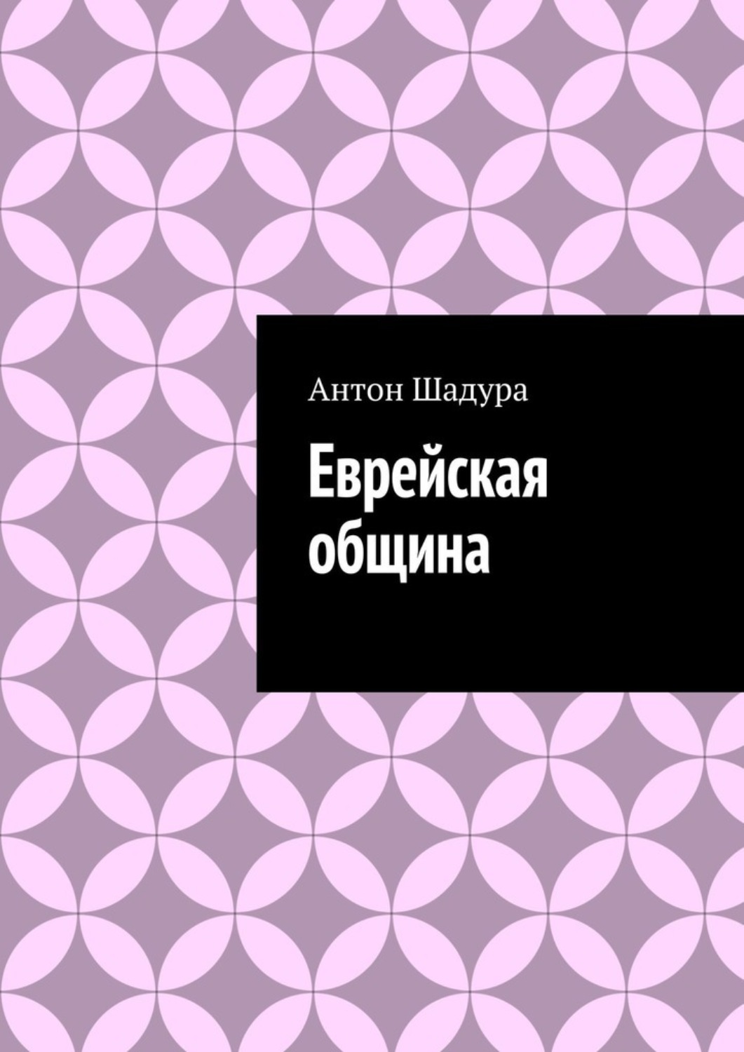 Обложка книги «Еврейская община»