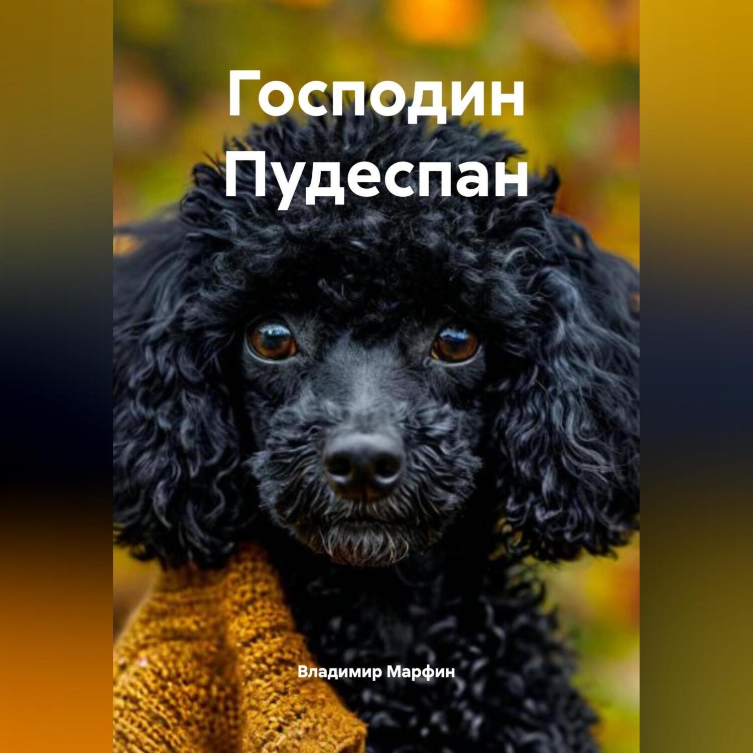 Обложка книги «ГОСПОДИН ПУДЕСПАН»