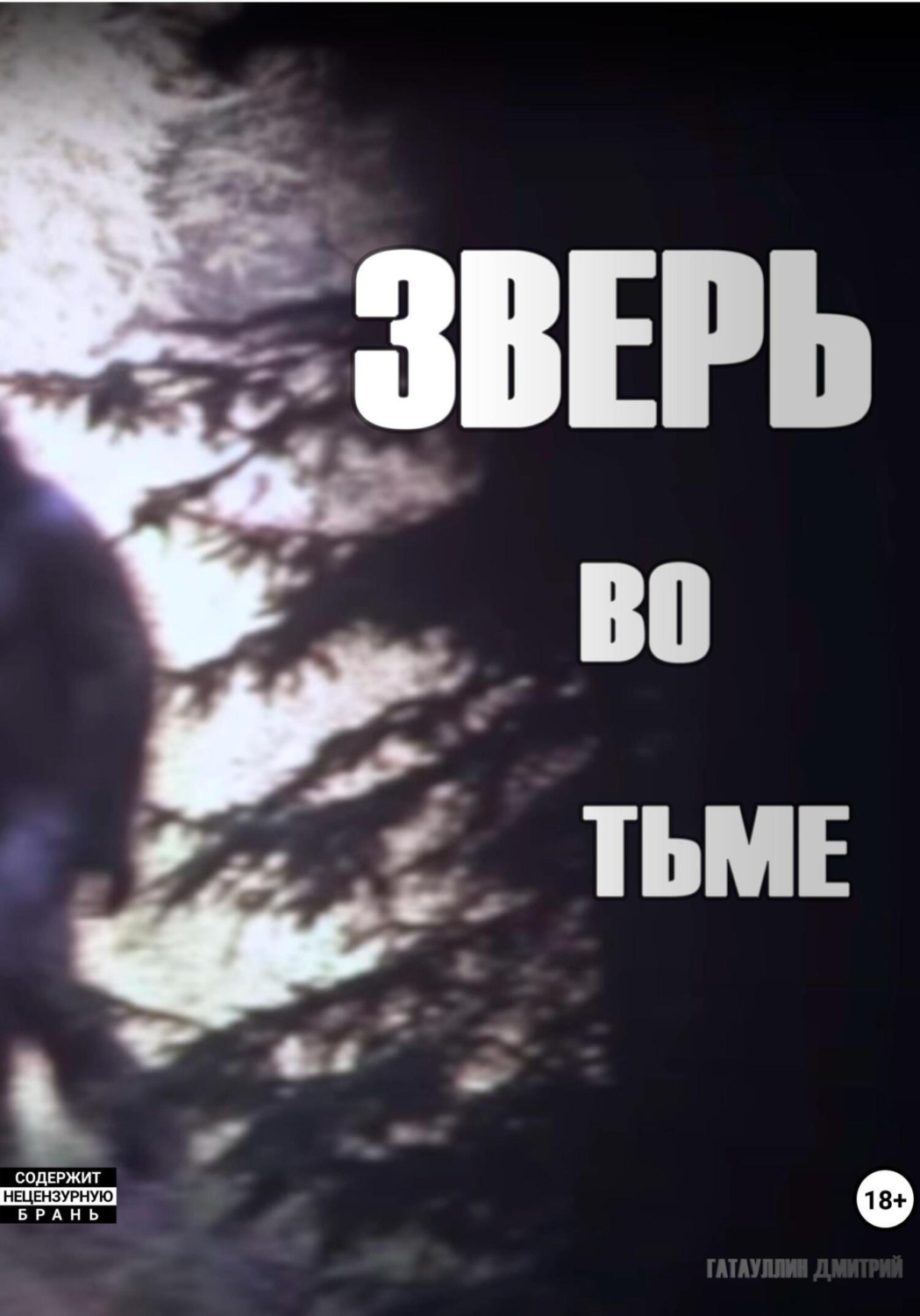 Обложка книги «Зверь во тьме»