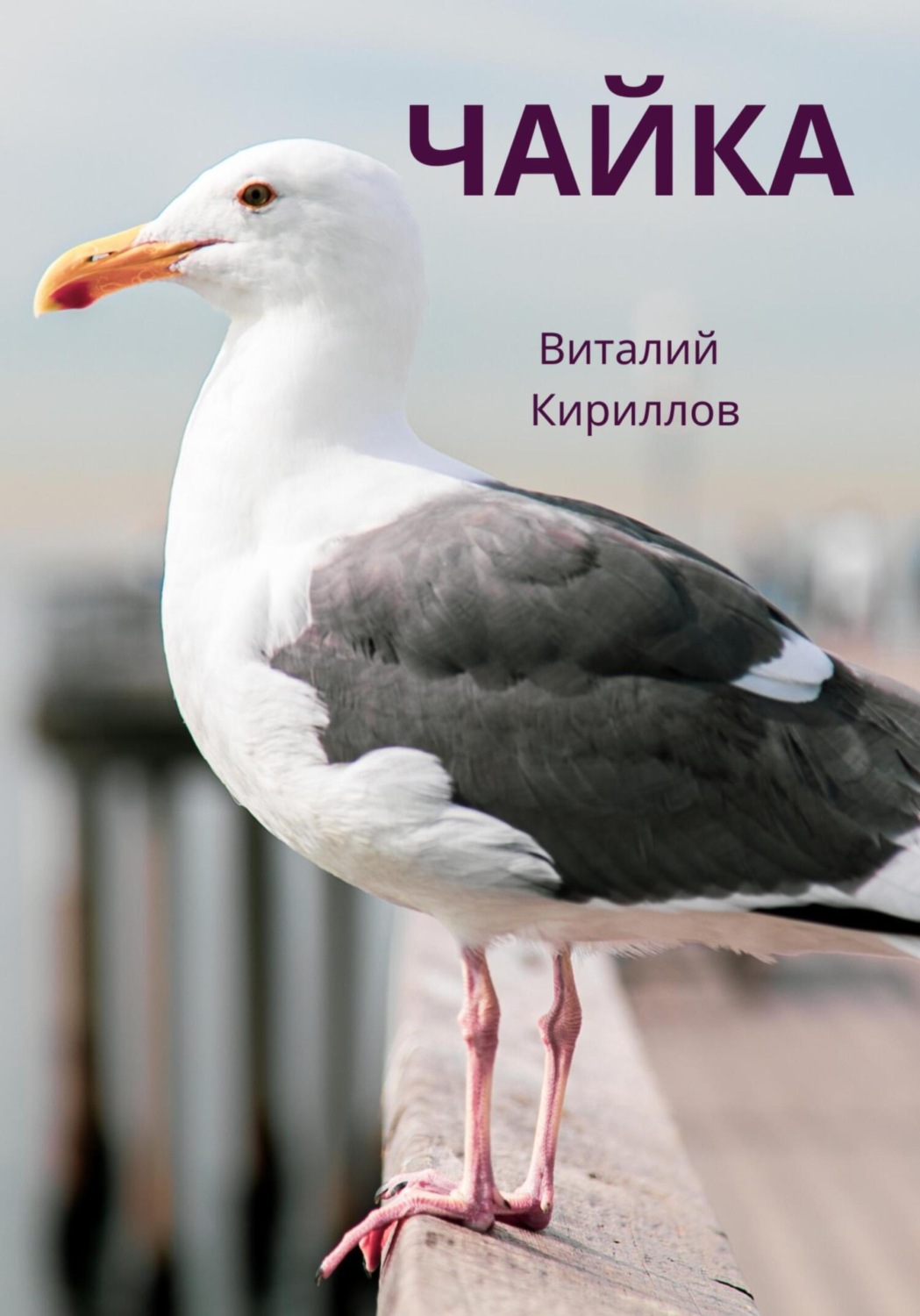 Обложка книги «Чайка»