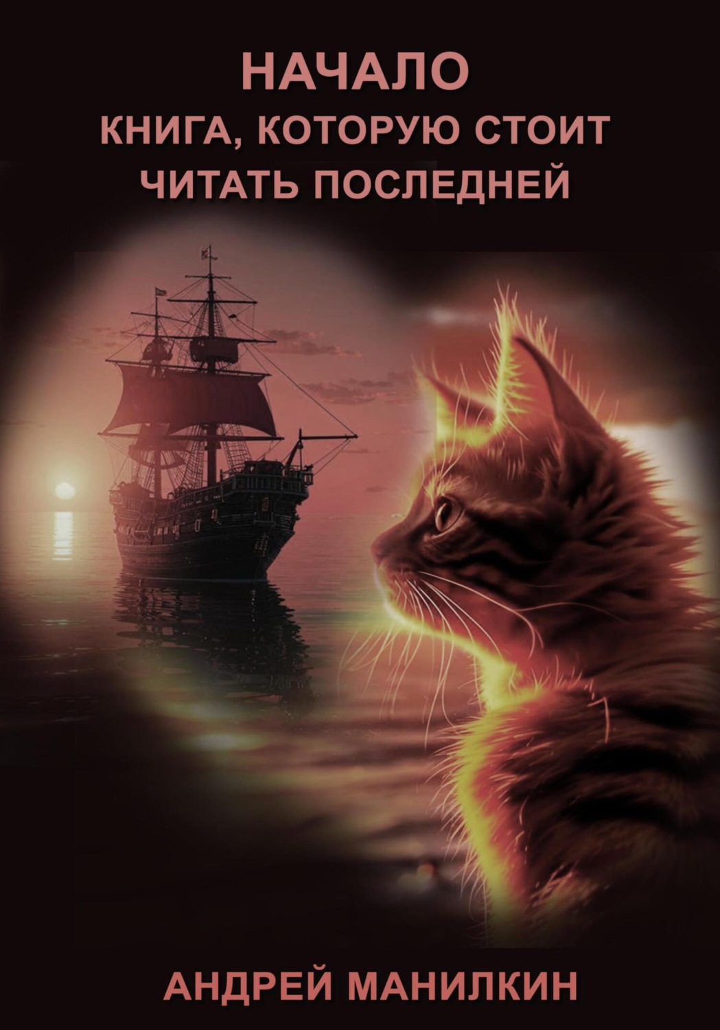 Обложка книги «Начало. Книга, которую стоит читать последней»
