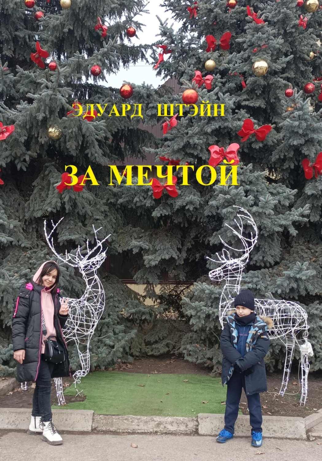 Обложка книги «За мечтой»