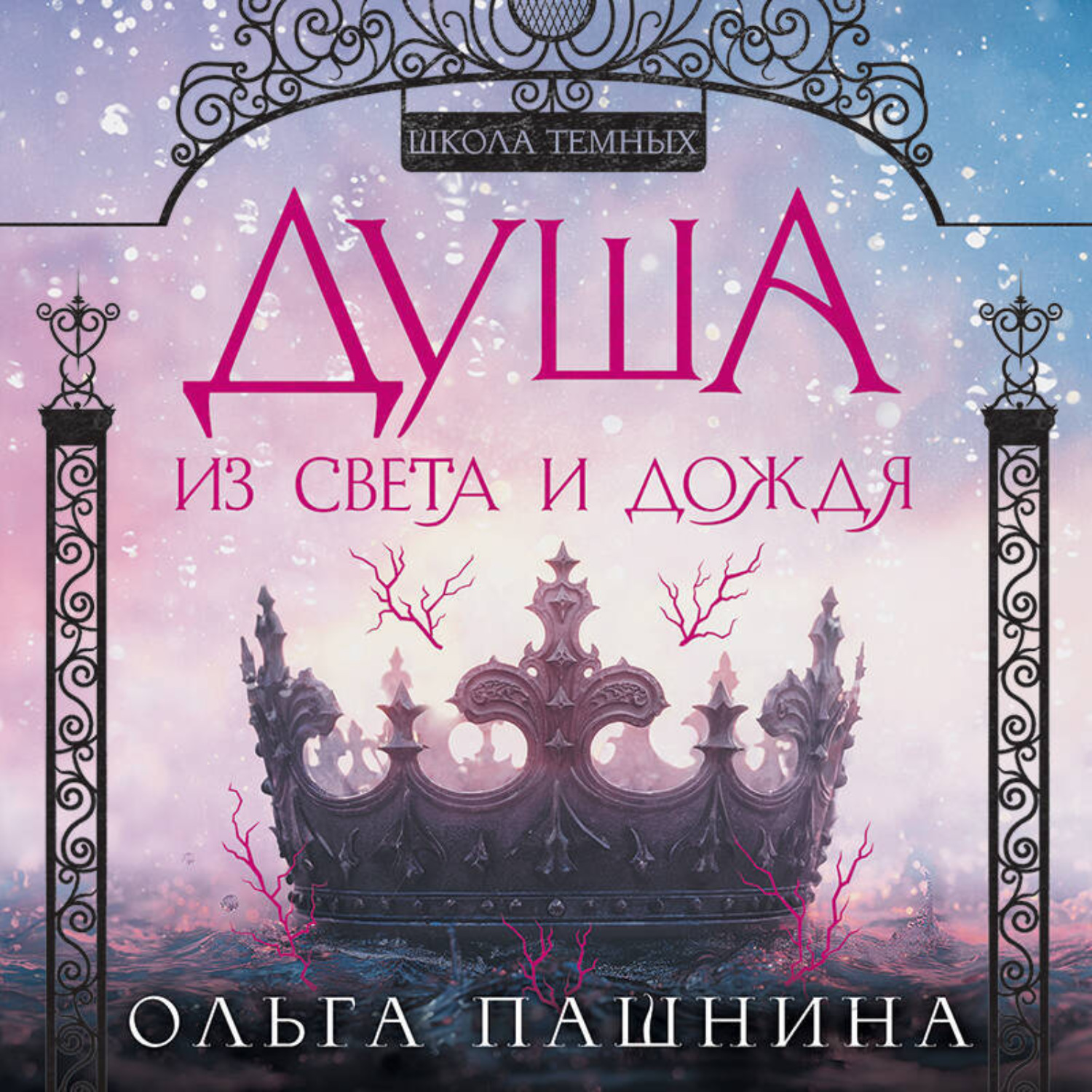 Обложка книги «Душа из света и дождя»