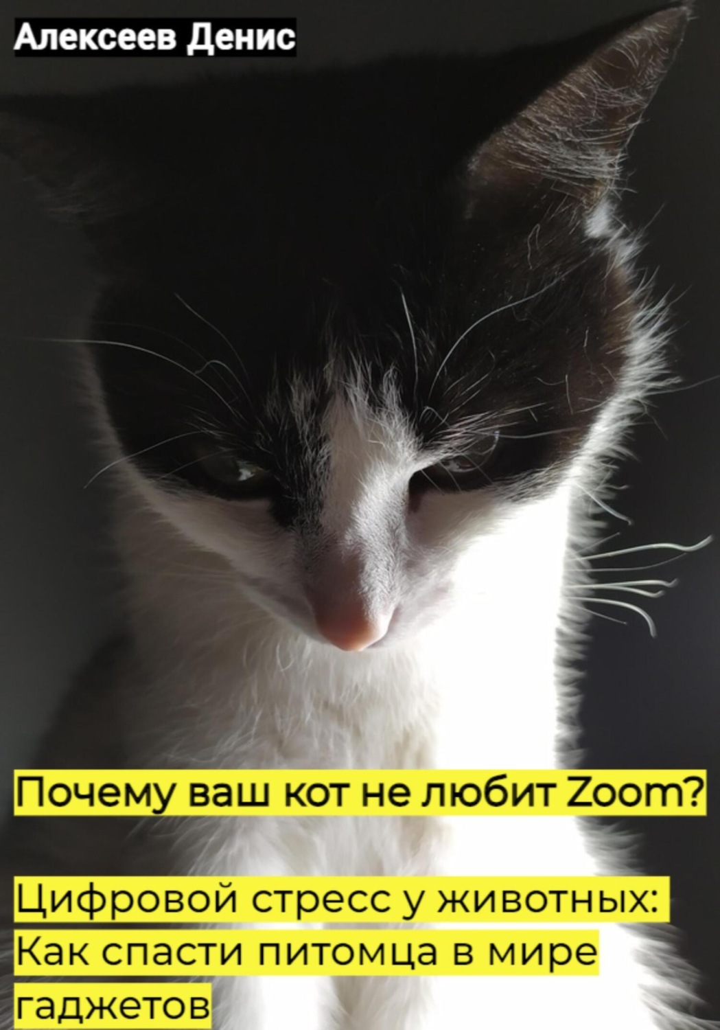 Обложка книги «Почему ваш кот не любит Zoom? Цифровой стресс у животных: Как спасти питомца в мире гаджетов»