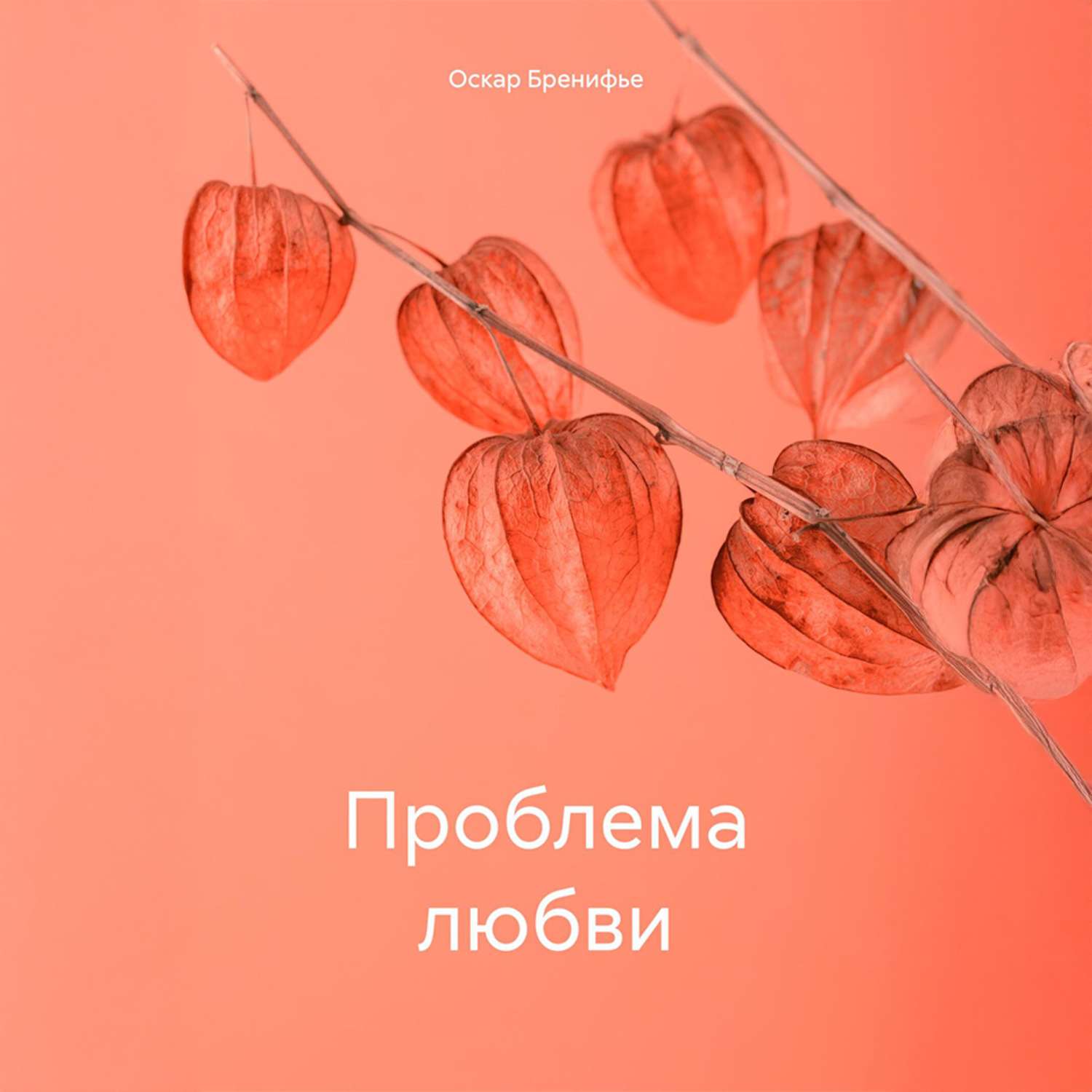 Обложка книги «Проблема любви»