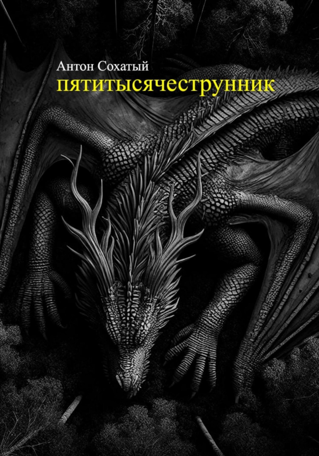 Обложка книги «Пятитысячеструнник»