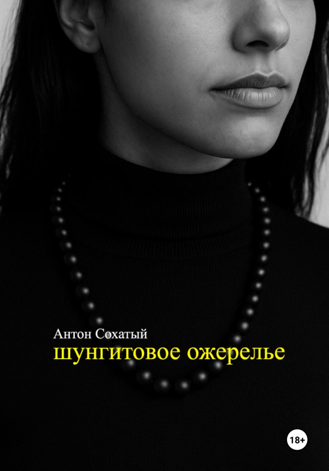 Обложка книги «Шунгитовое ожерелье»