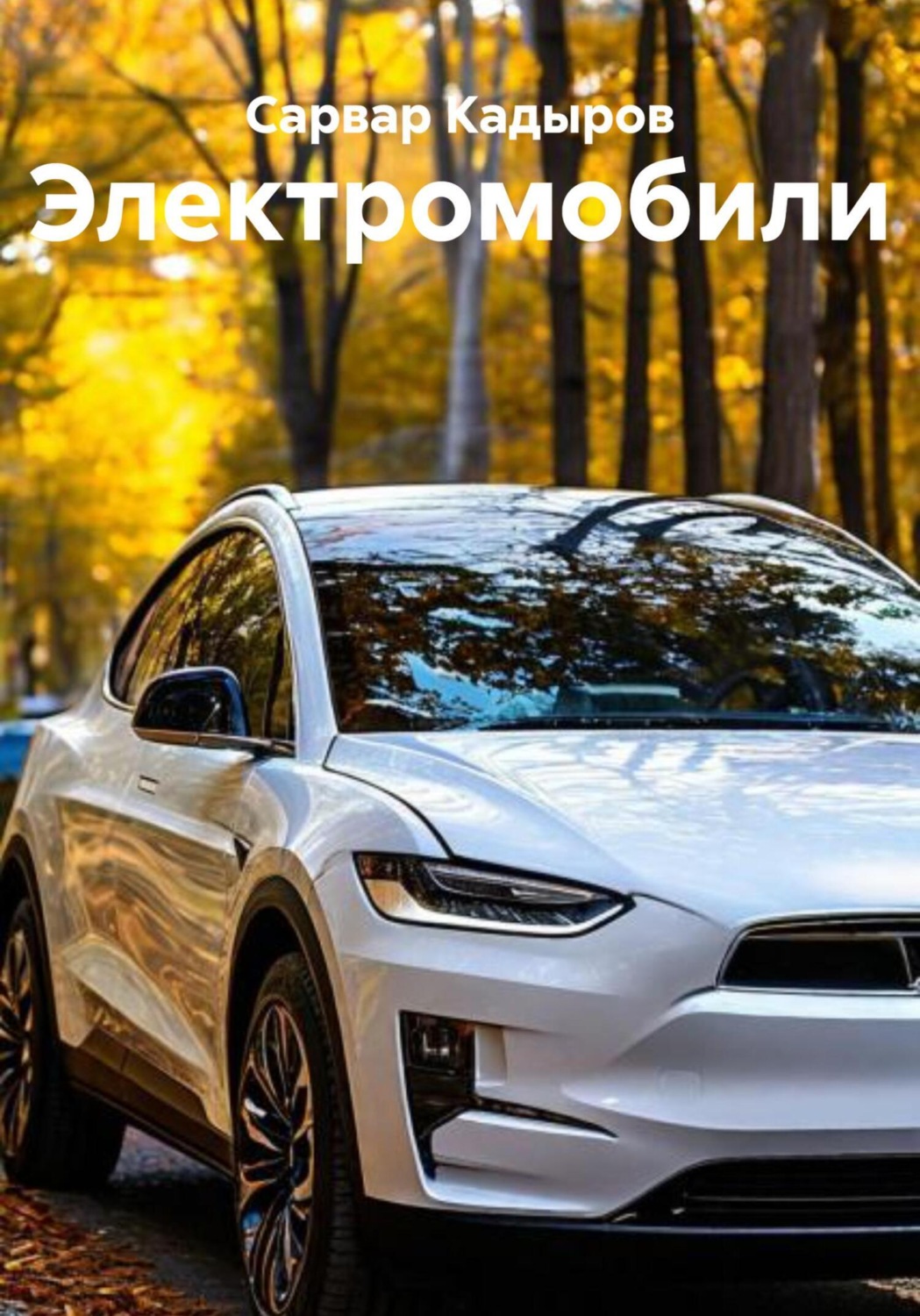 Обложка книги «Электромобили»
