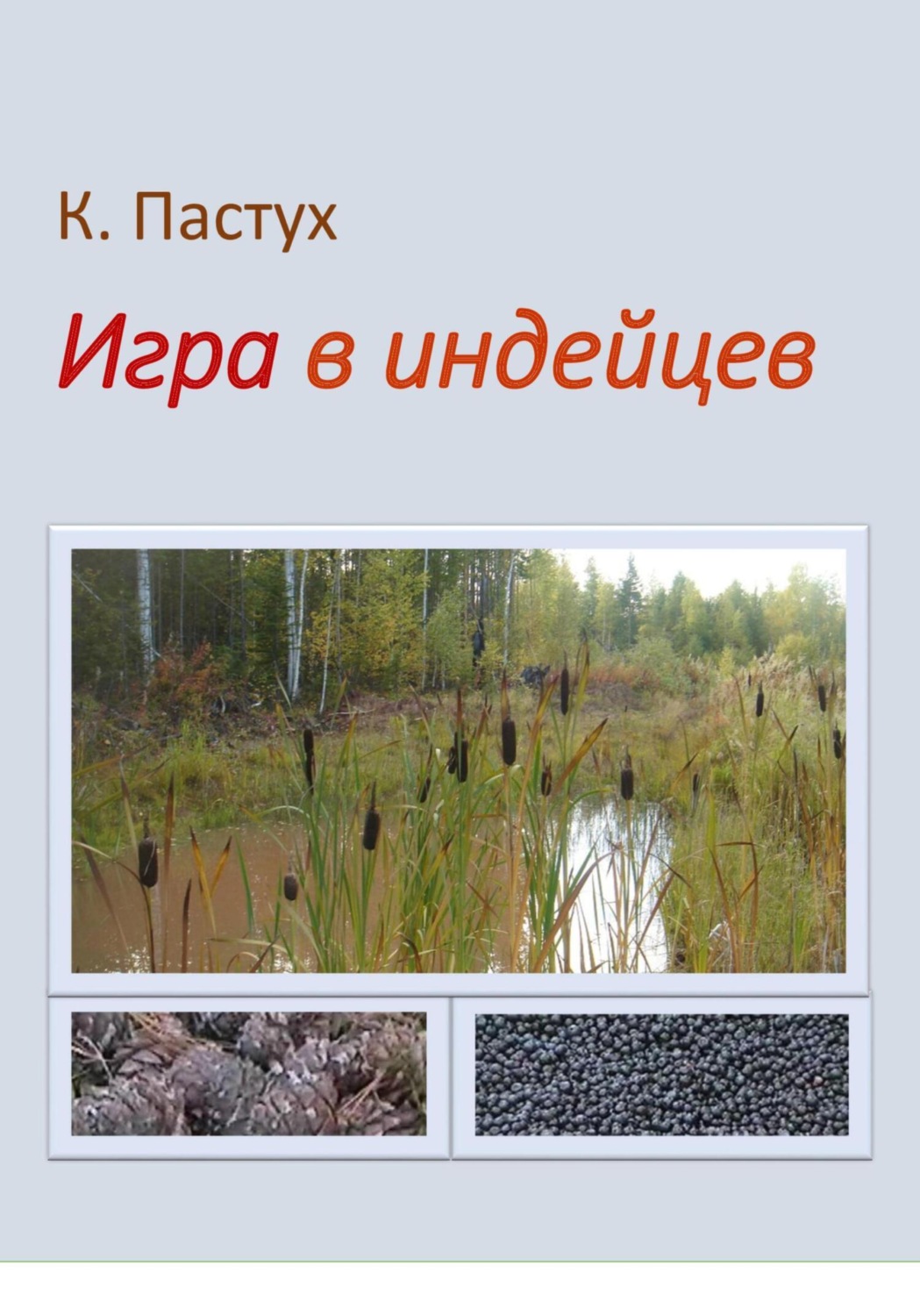 Обложка книги «Игра в индейцев»