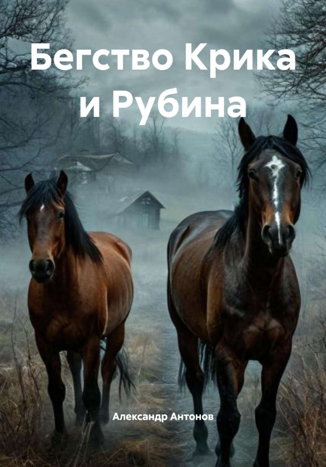 Обложка книги «Бегство Крика и Рубина»
