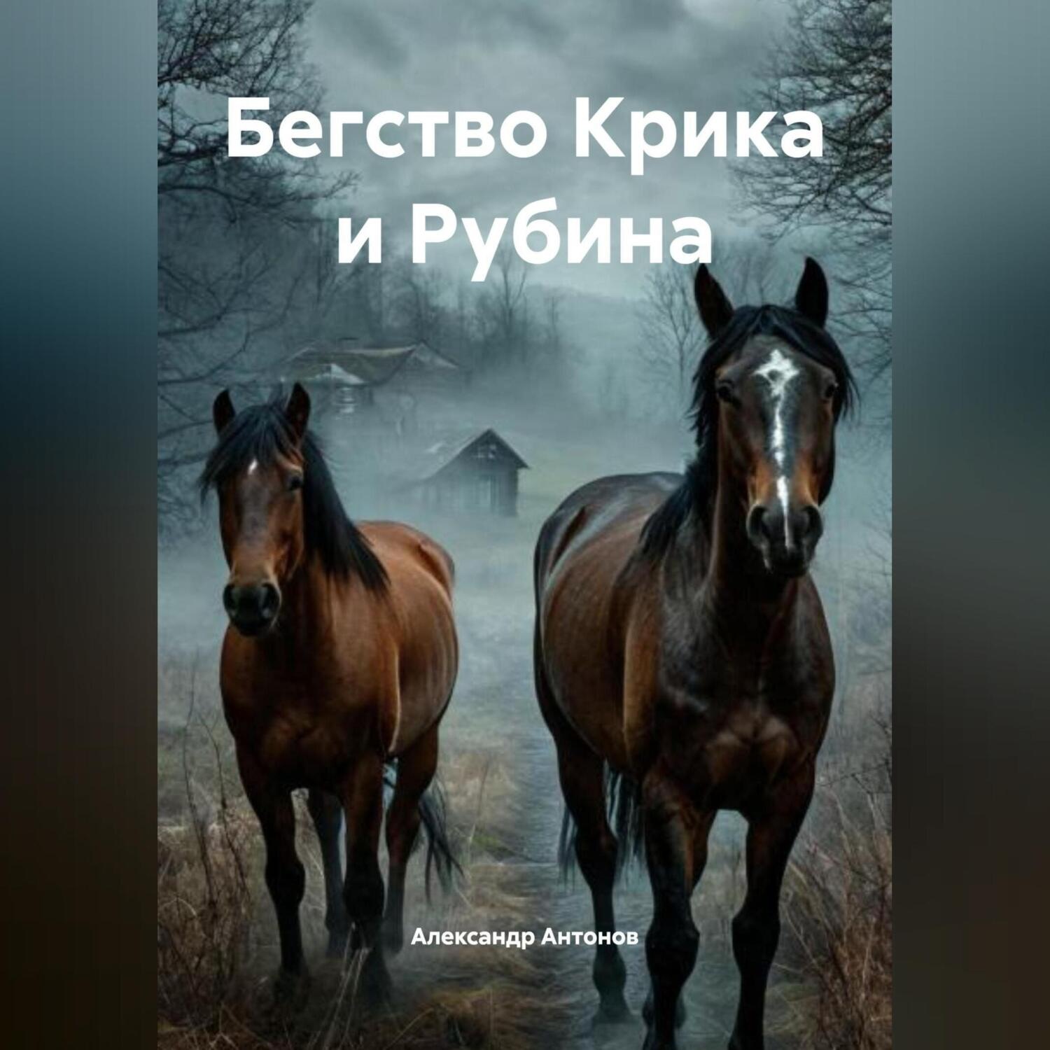 Обложка книги «Бегство Крика и Рубина»
