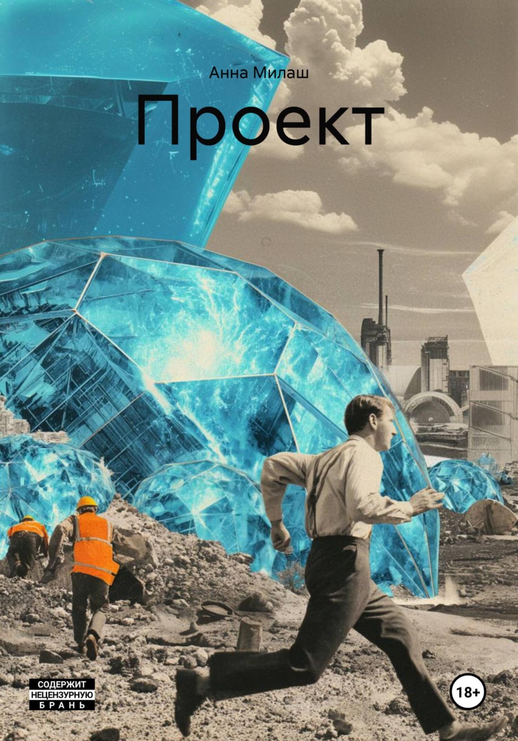 Обложка книги «Проект»