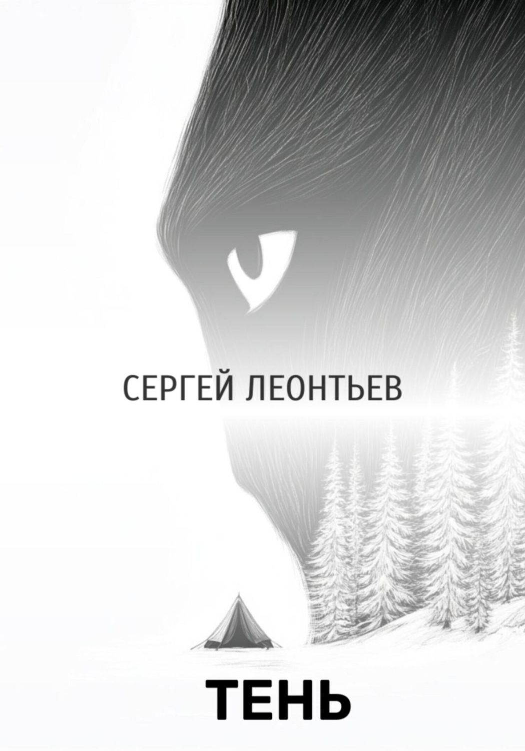 Обложка книги «Тень»