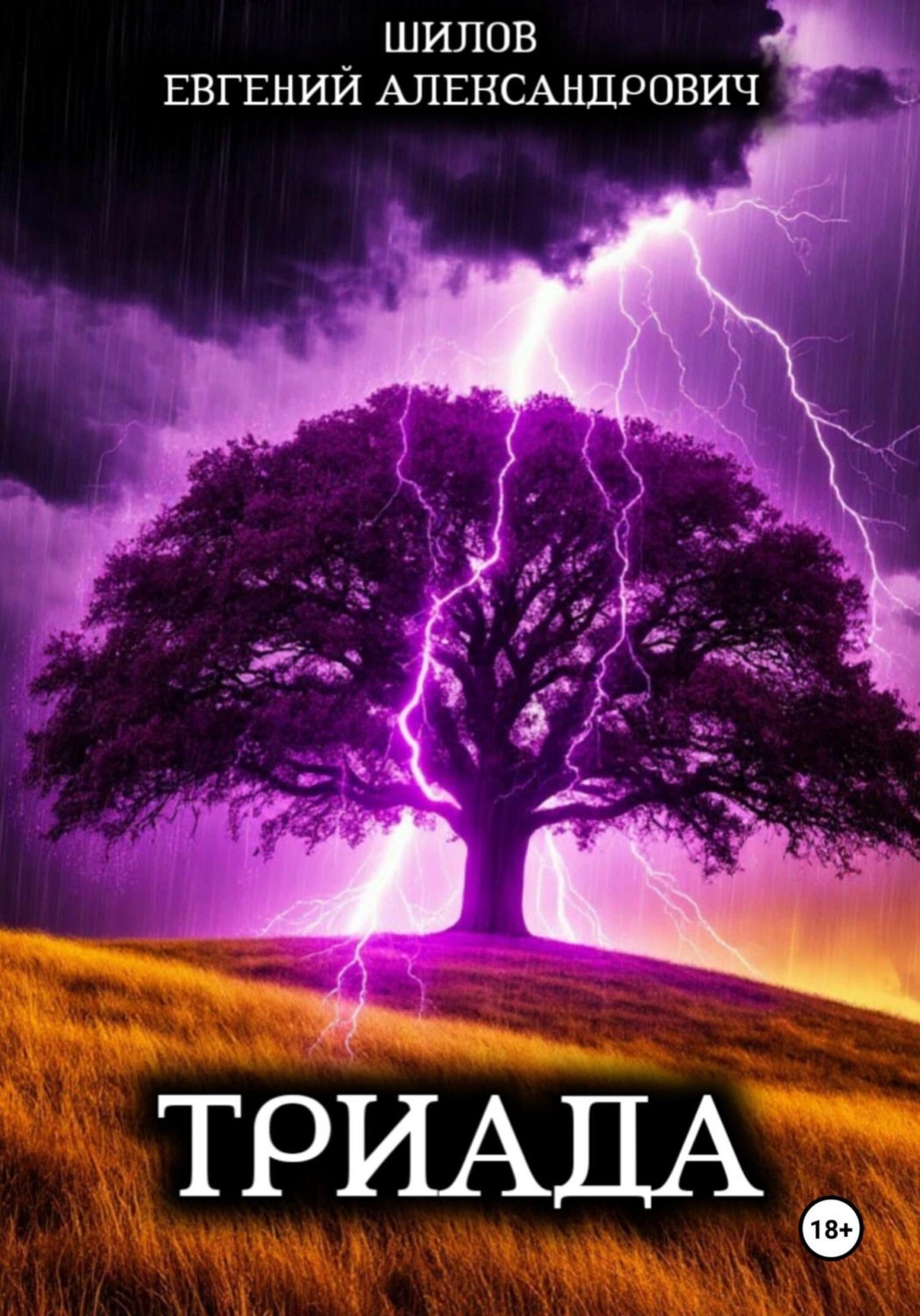 Обложка книги «Триада»