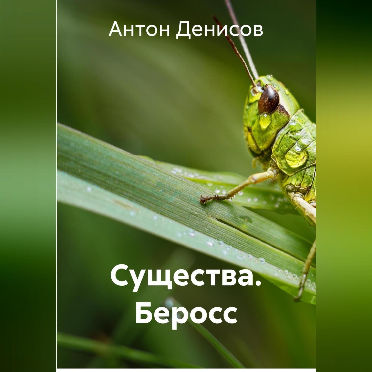 Обложка книги «Существа. Беросс»