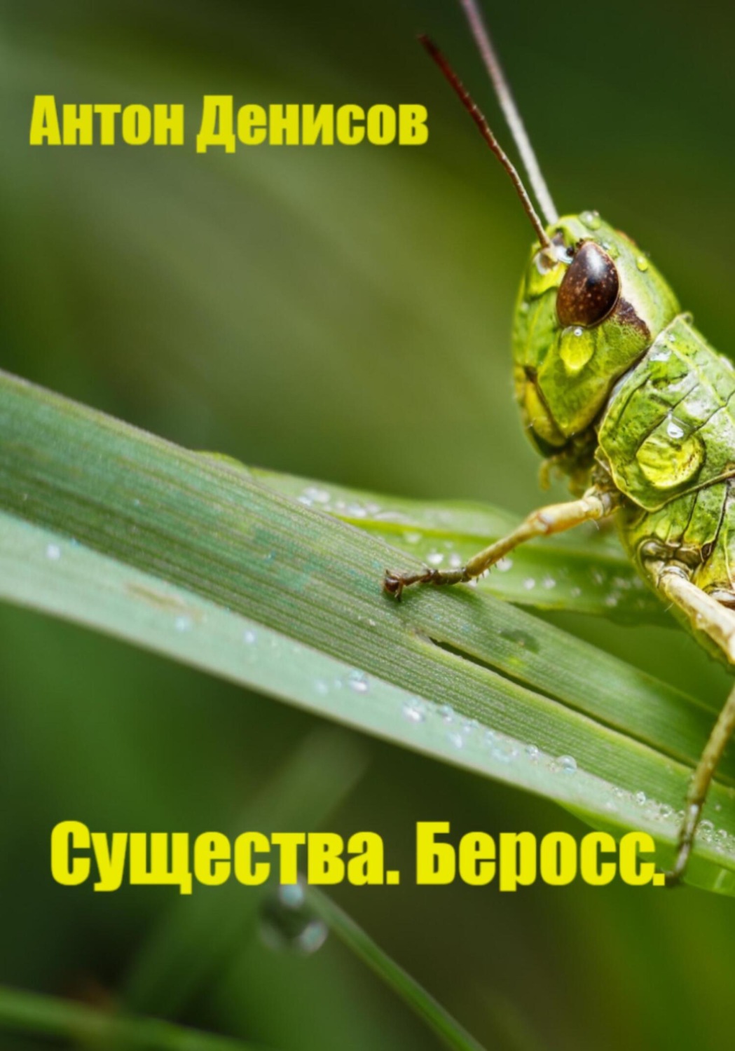 Обложка книги «Существа. Беросс»