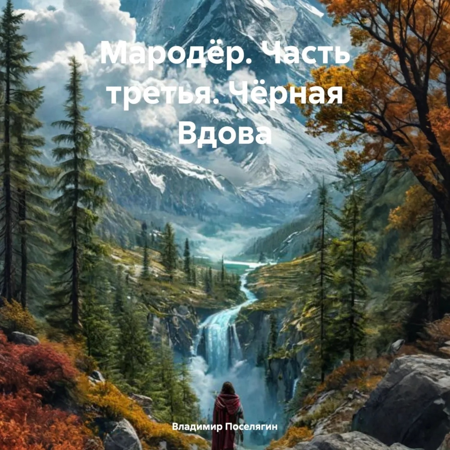 Обложка книги «Мародёр. Часть третья. Чёрная Вдова»