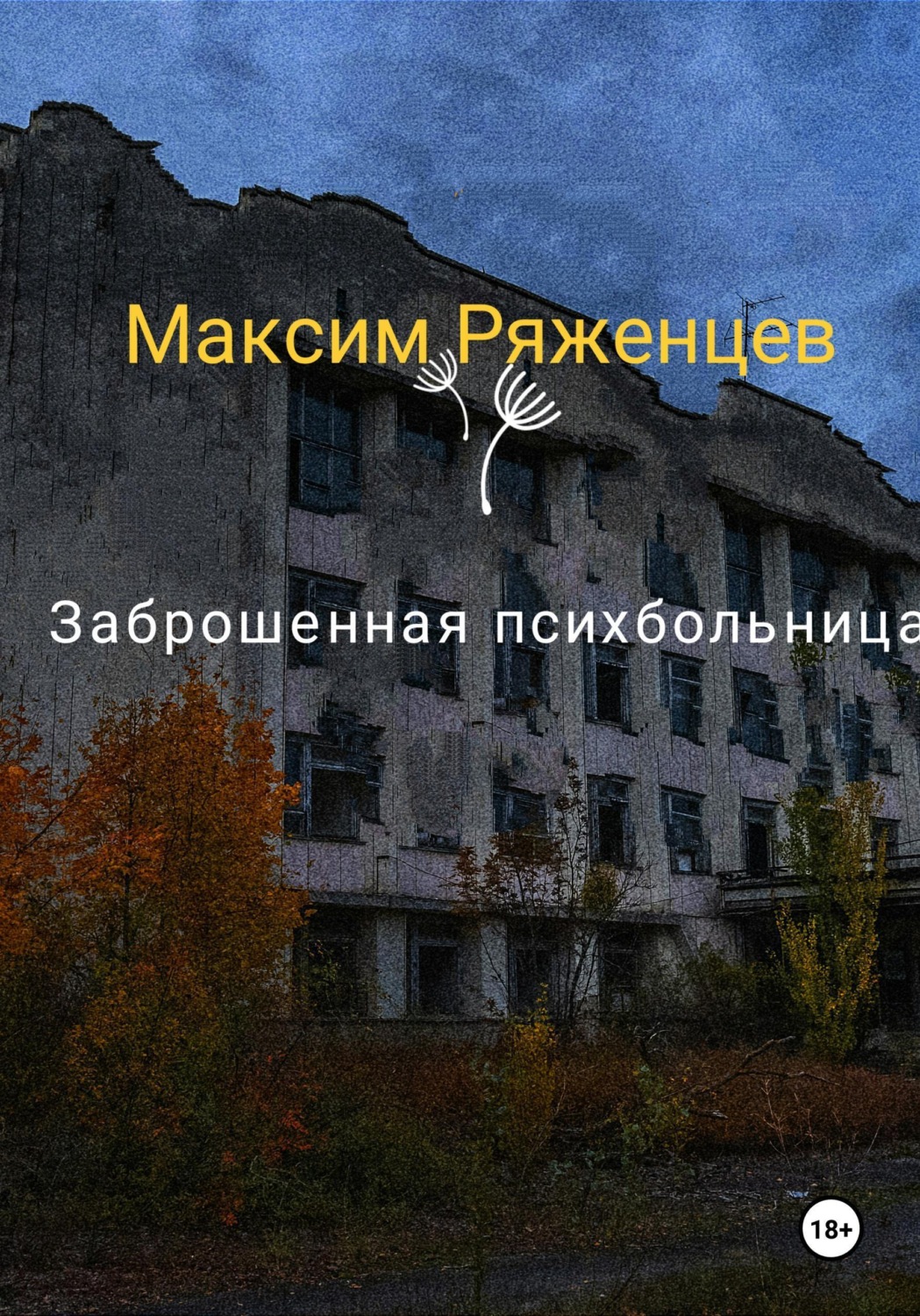 Обложка книги «Заброшенная психбольница»