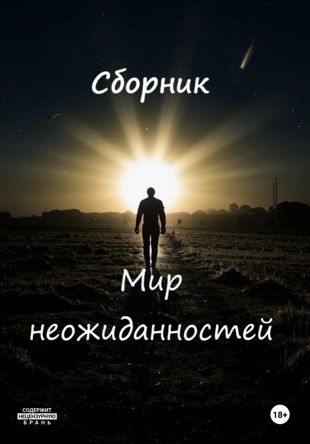 Обложка книги «Неожиданности судьбы»