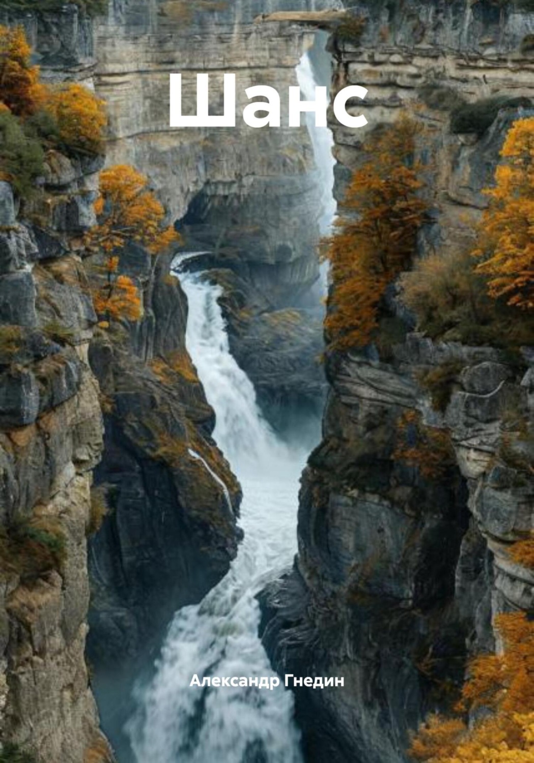 Обложка книги «Шанс»