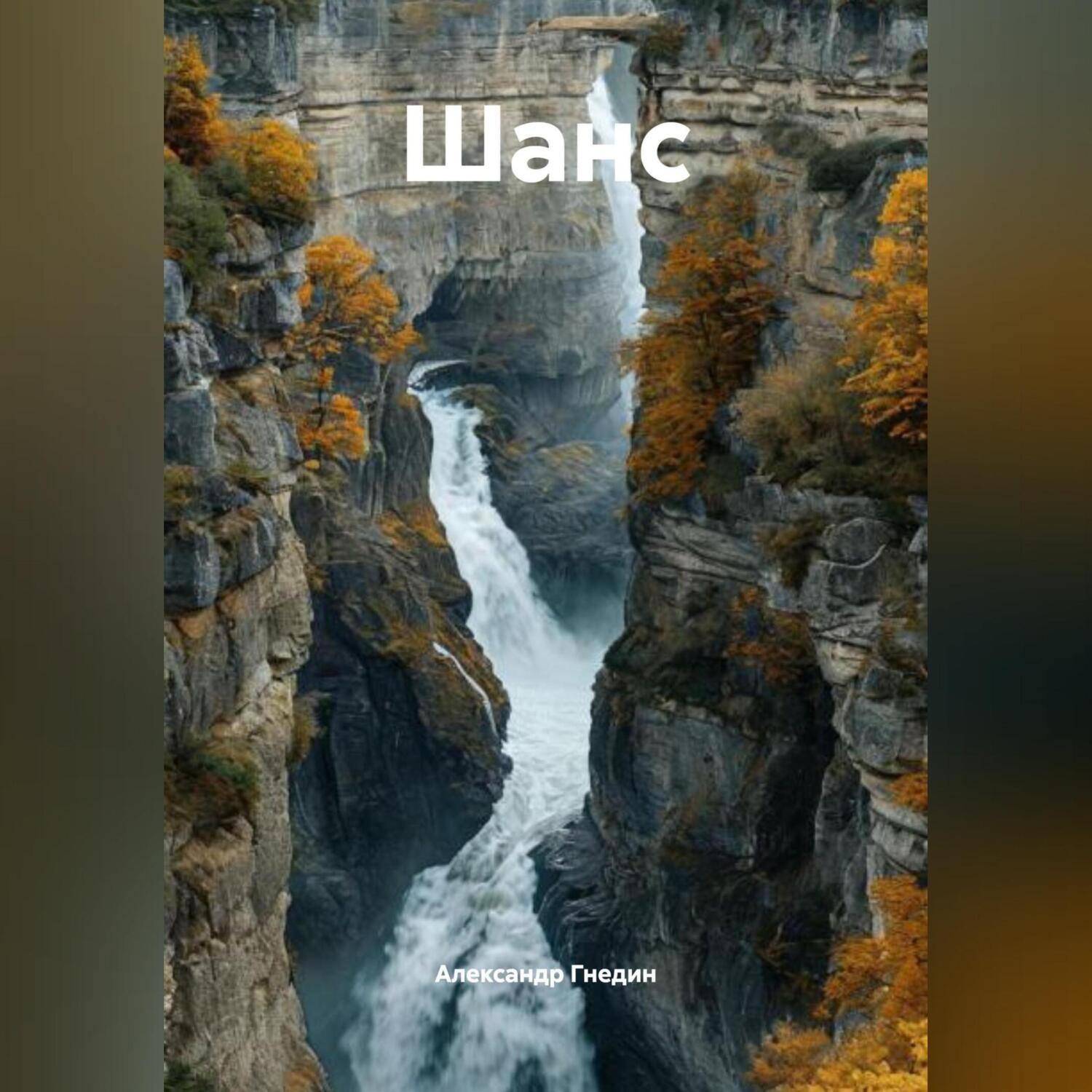 Обложка книги «Шанс»