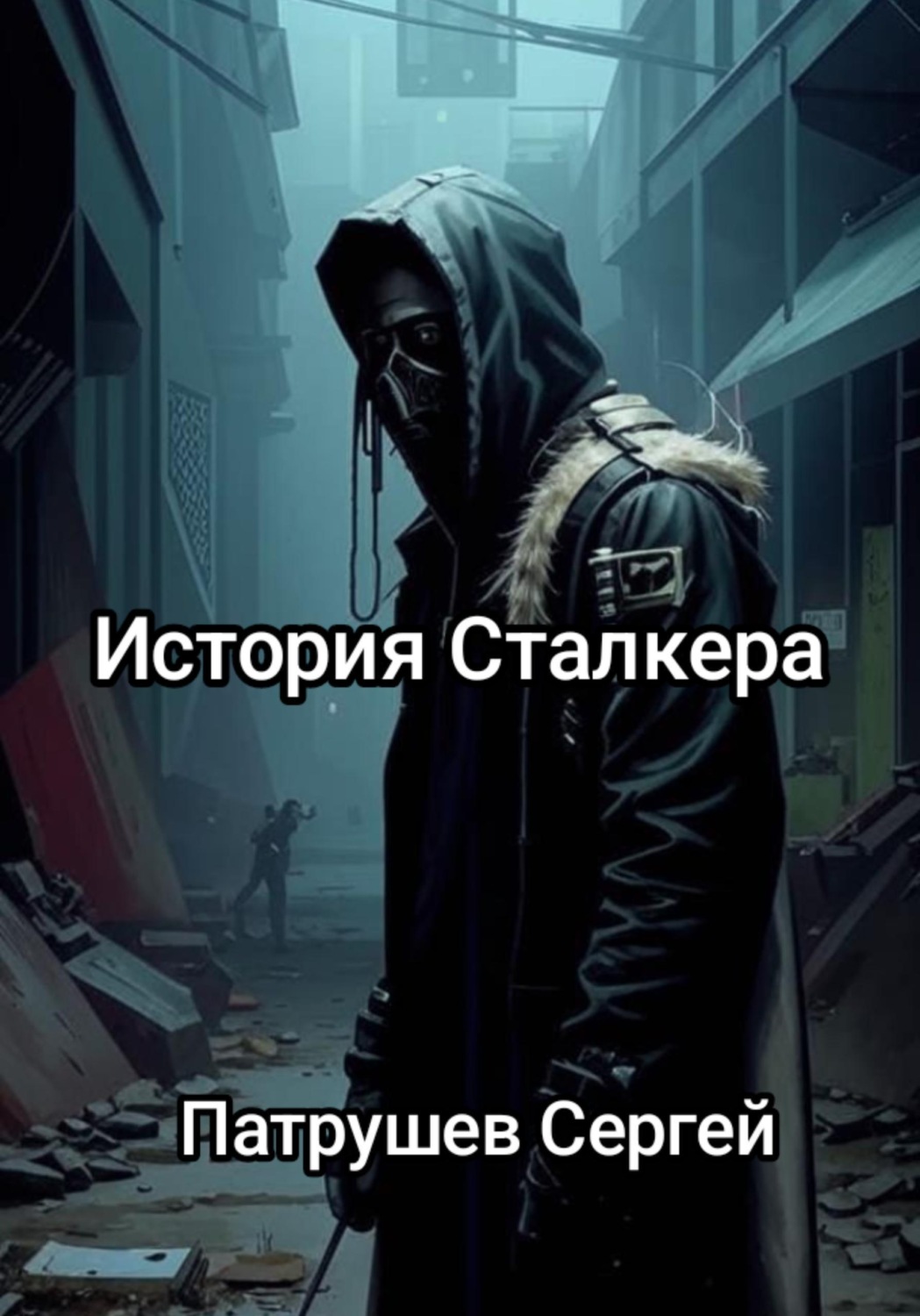 Обложка книги «История сталкера»