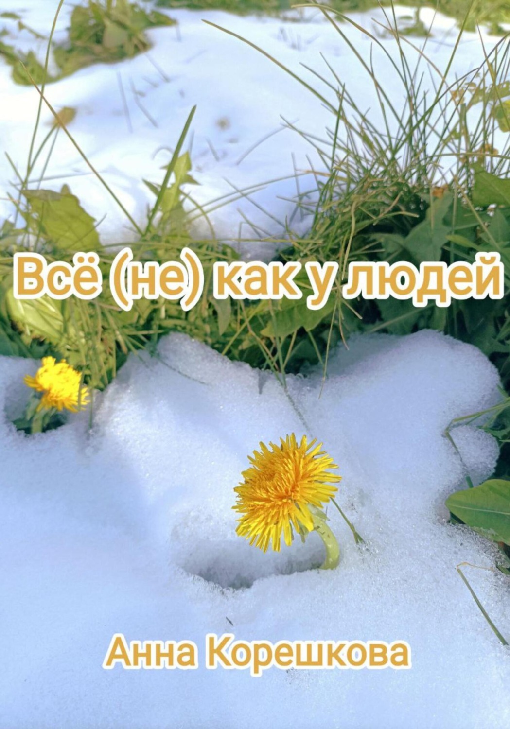 Обложка книги «Всё (не) как у людей»