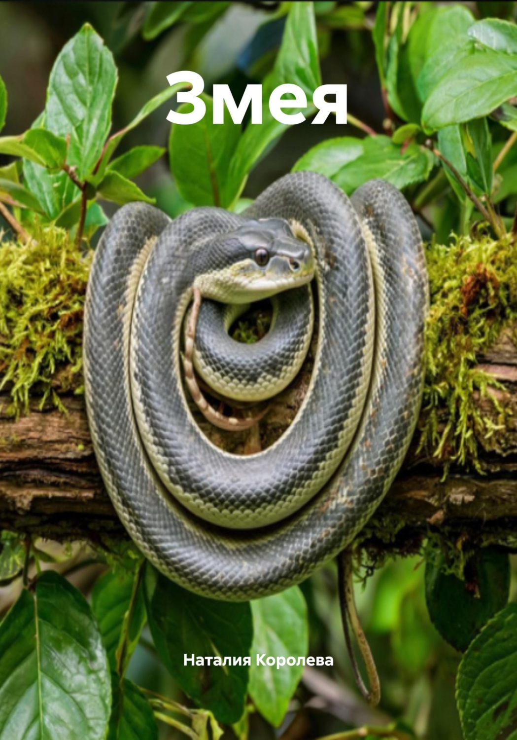 Обложка книги «Змея»