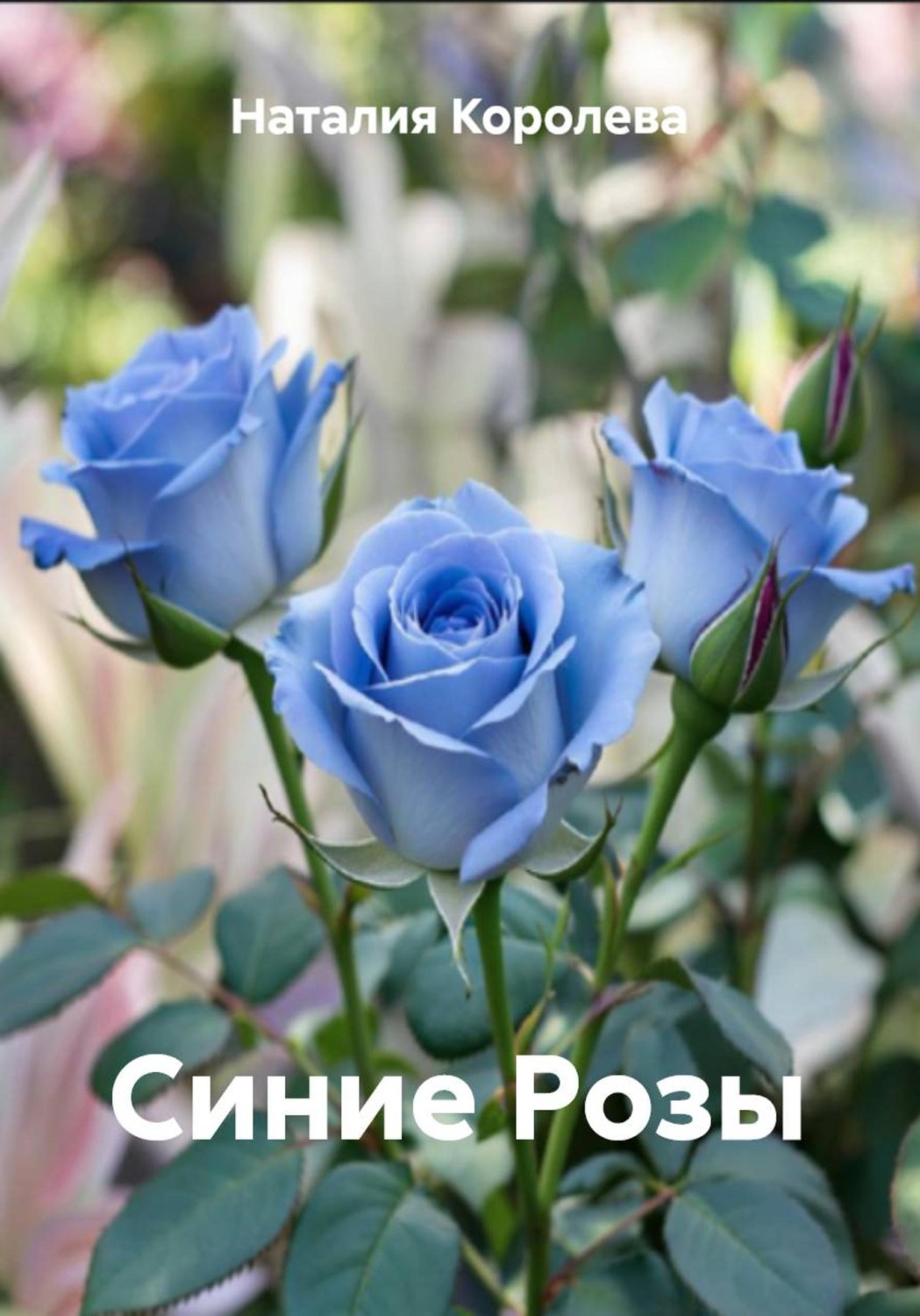 Обложка книги «Синие Розы»