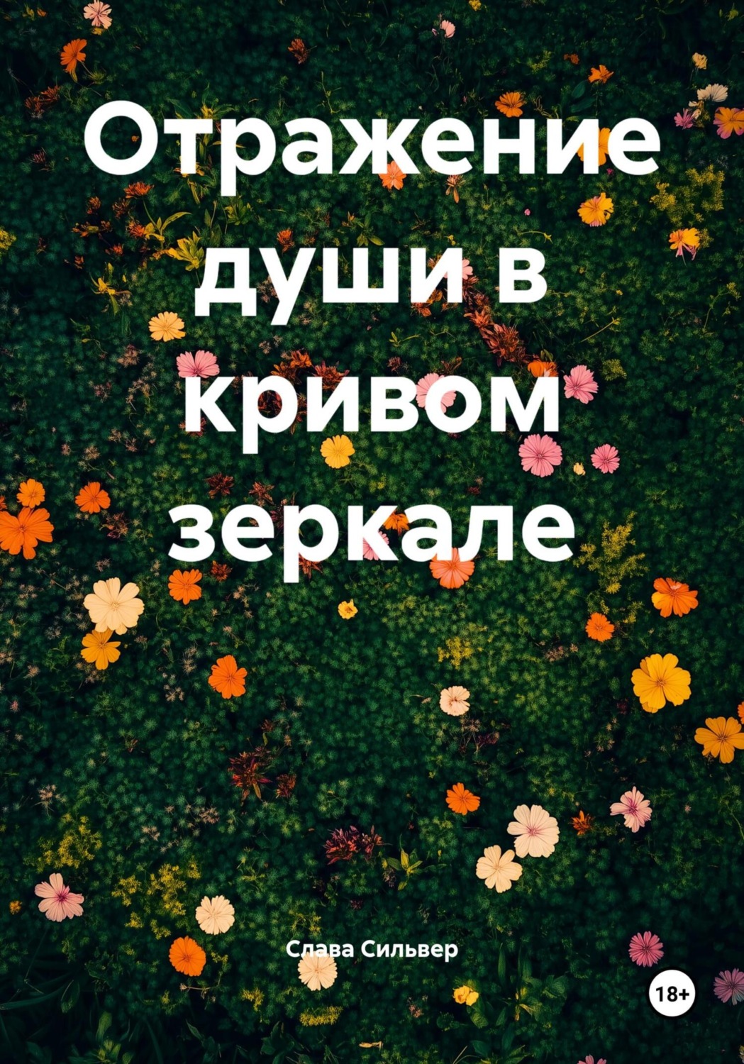 Обложка книги «Отражение души в кривом зеркале»