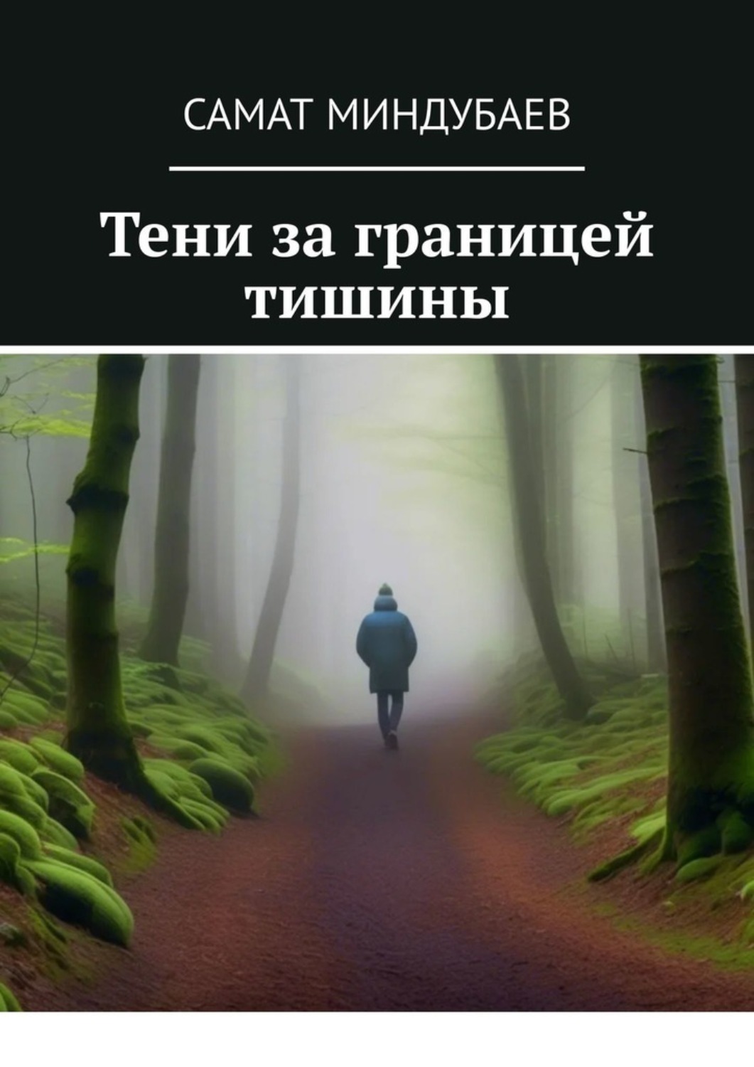 Обложка книги «Тени за границей тишины»