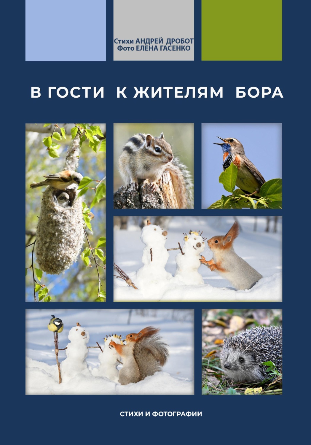 Обложка книги «В гости к жителям бора»