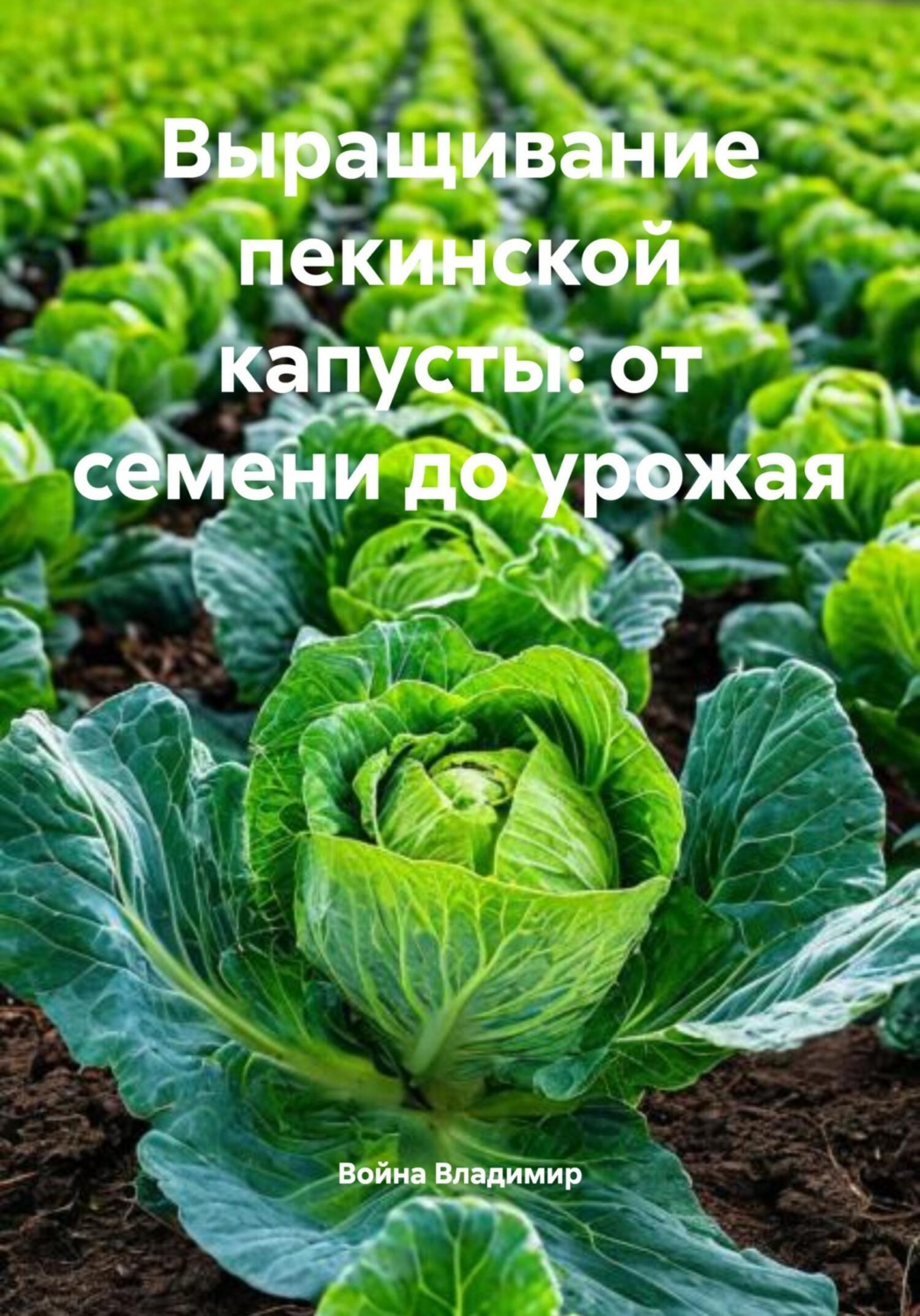Обложка книги «Выращивание пекинской капусты: от семени до урожая»