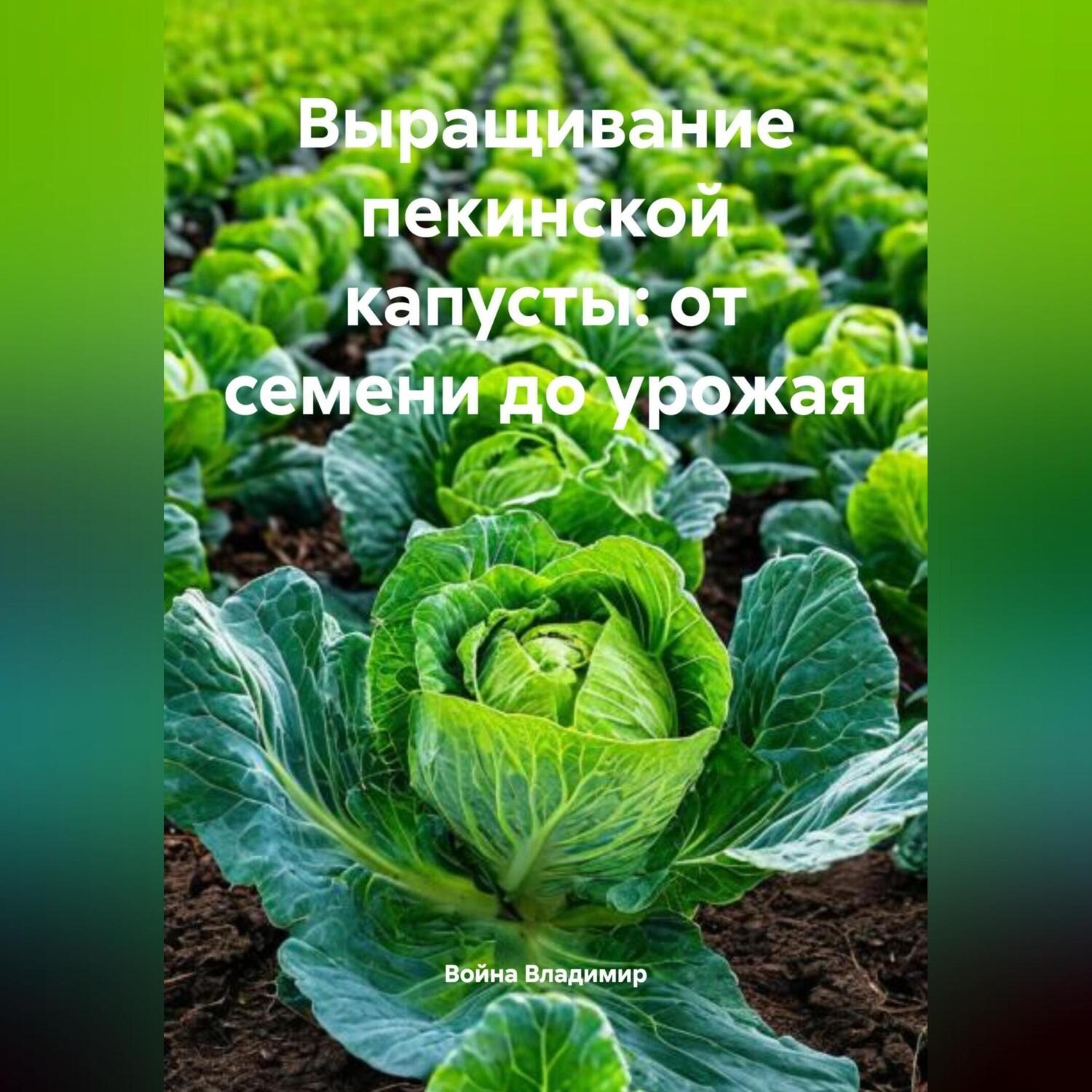Обложка книги «Выращивание пекинской капусты: от семени до урожая»