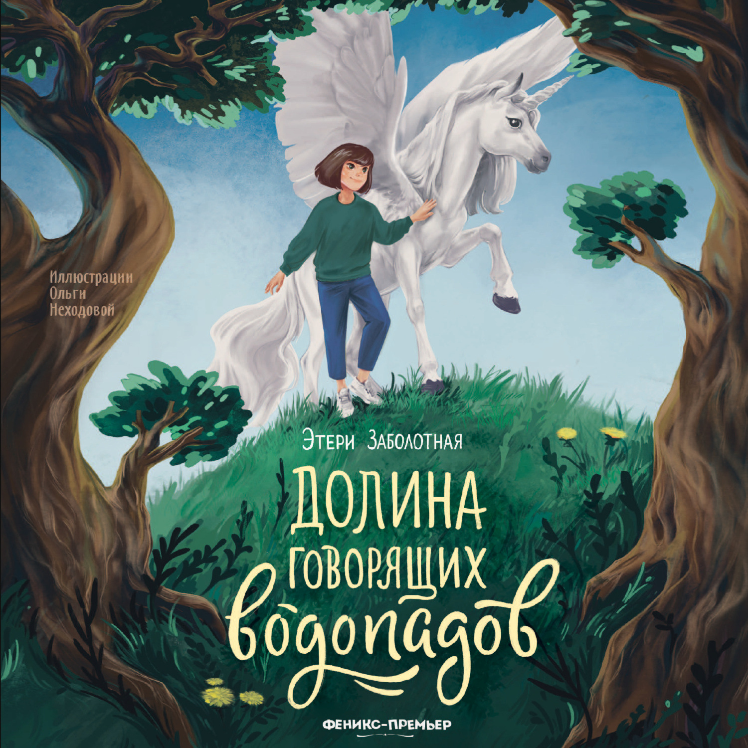 Обложка книги «Долина говорящих водопадов»