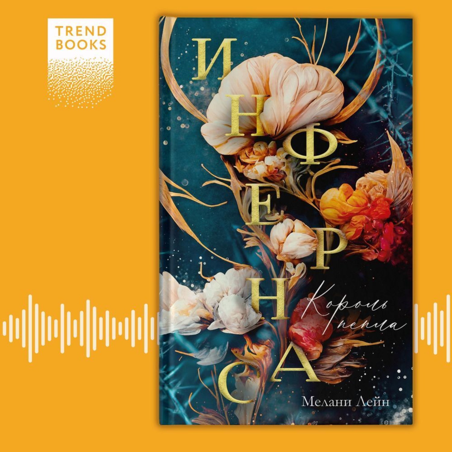 Обложка книги «Инфернас. Король пепла»