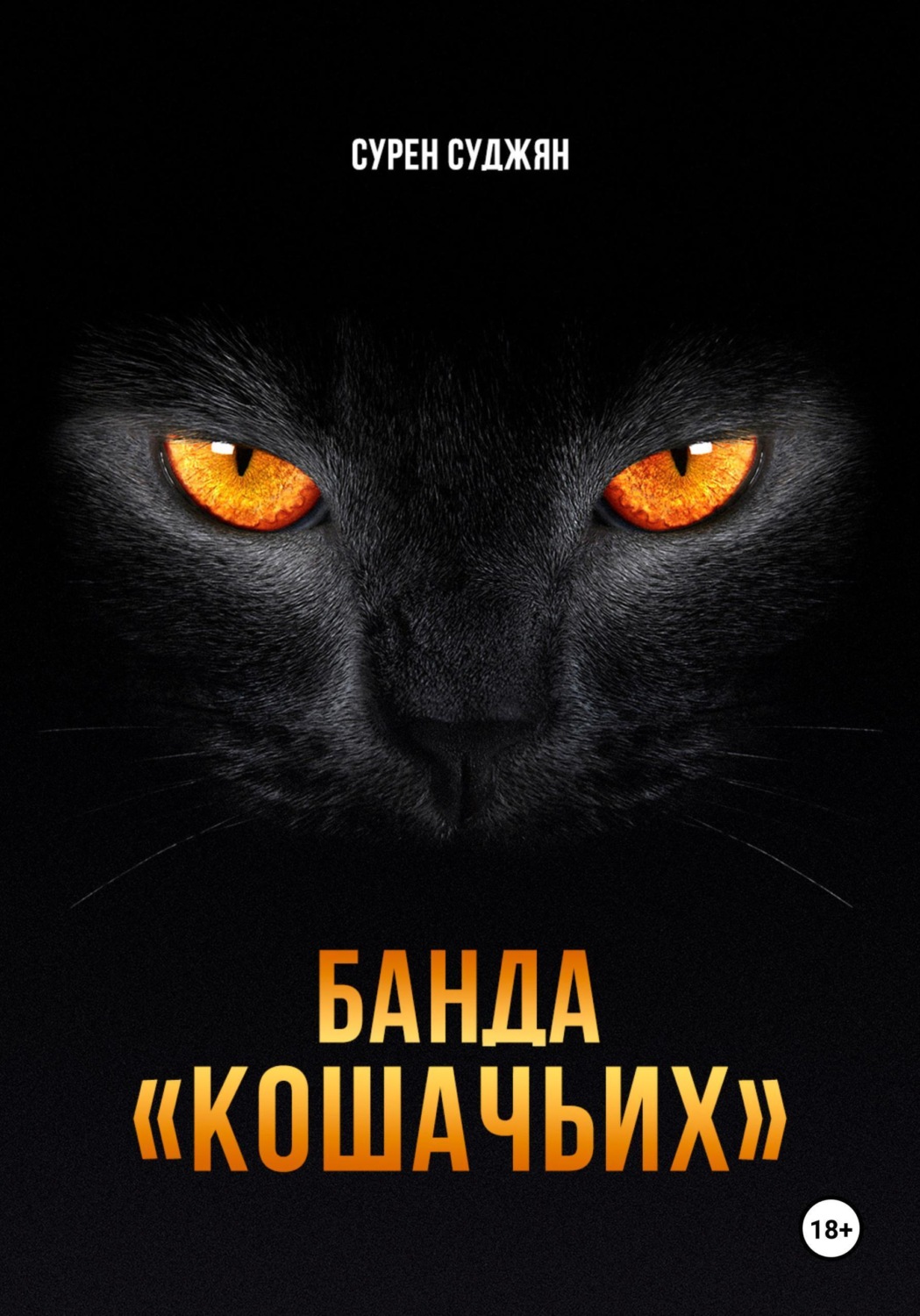 Обложка книги «БАНДА «КОШАЧЬИХ»»