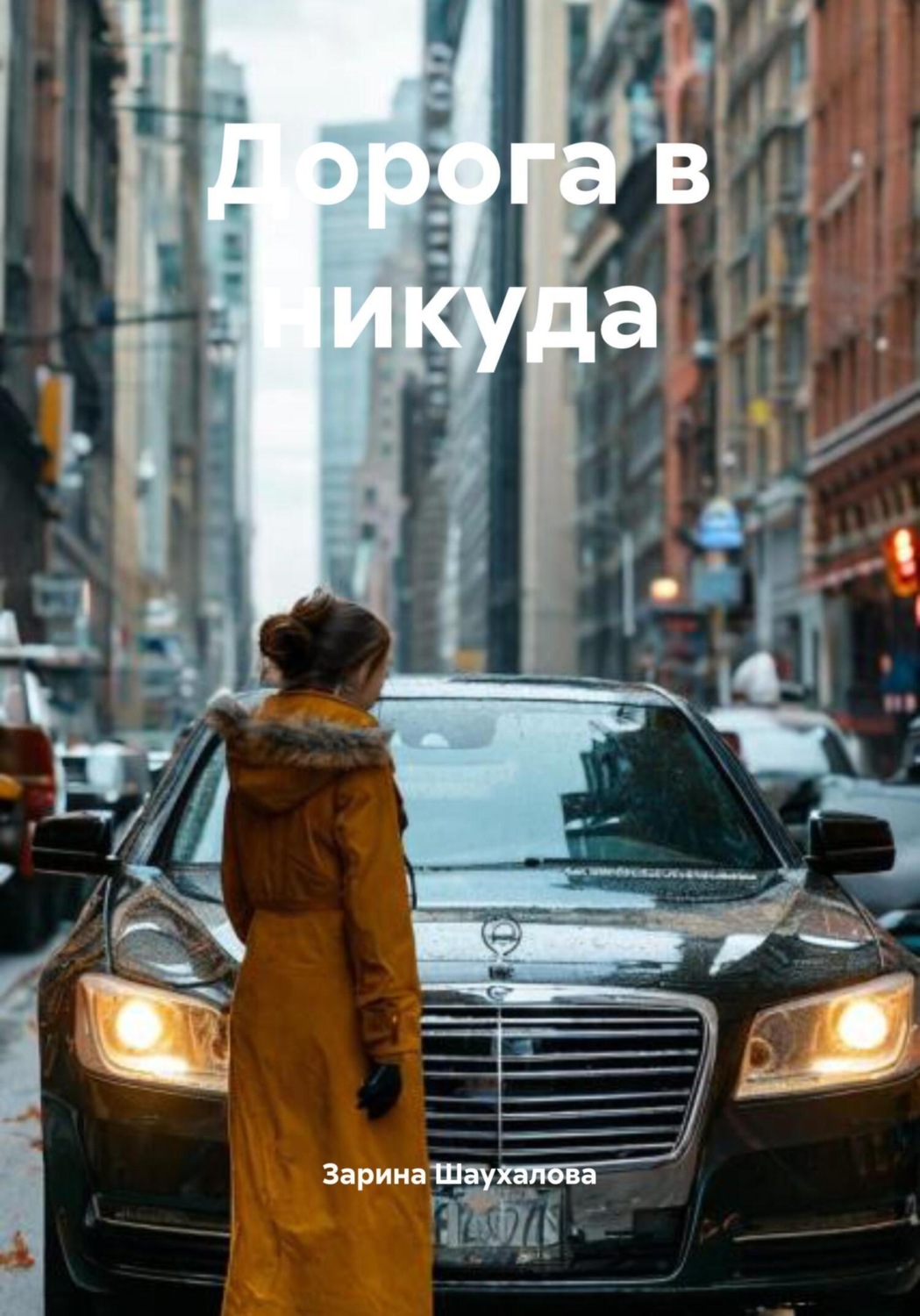 Обложка книги «Дорога в никуда»