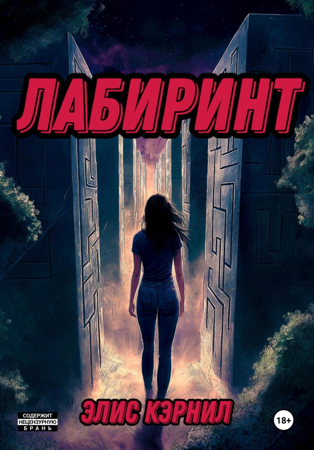 Обложка книги «Лабиринт»