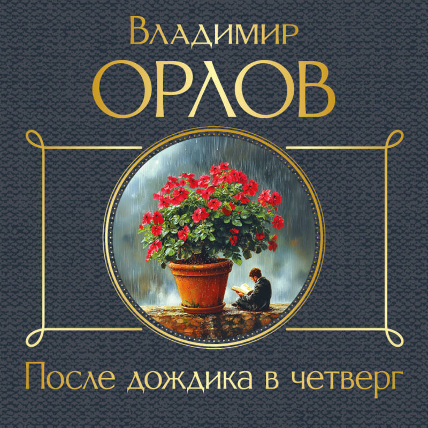 Обложка книги «После дождика в четверг»