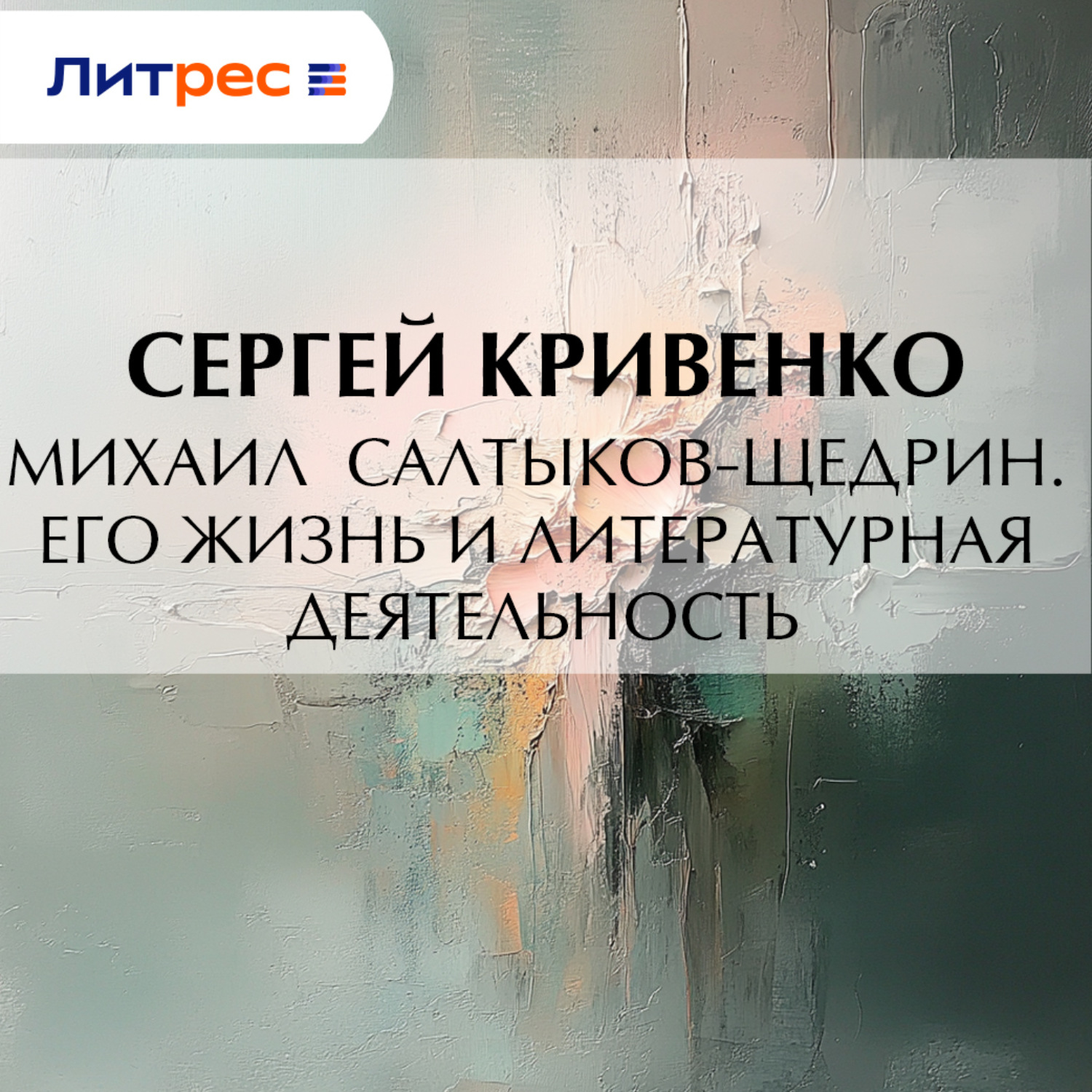 Обложка книги «Михаил Салтыков-Щедрин. Его жизнь и литературная деятельность»
