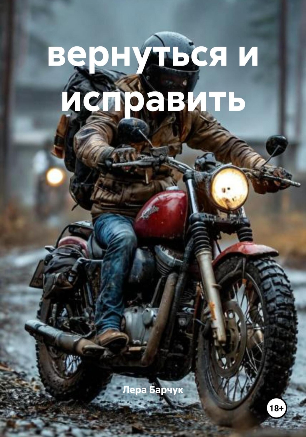 Обложка книги «вернуться и исправить»