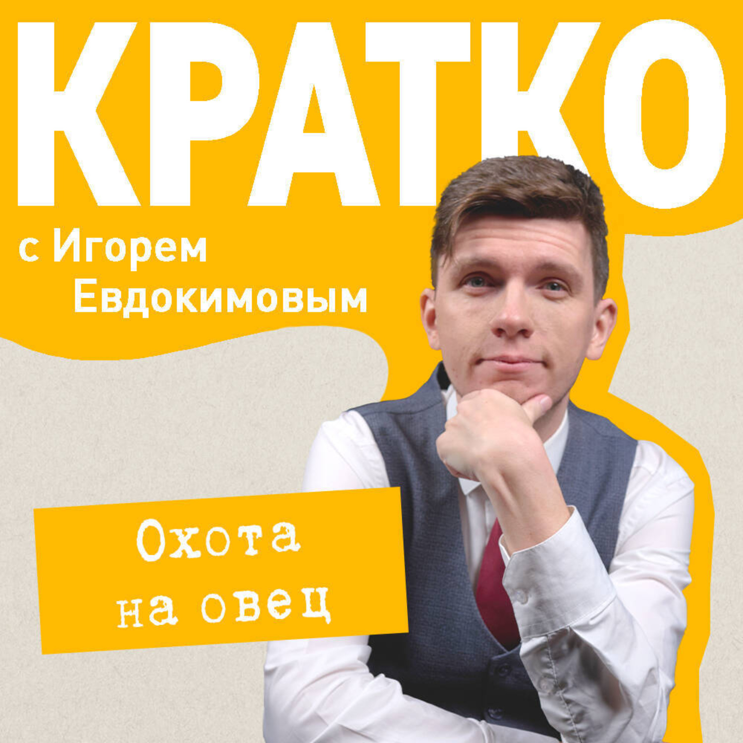 Обложка книги «КРАТКО: Охота на овец»