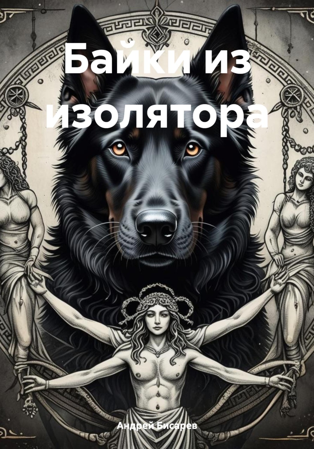 Обложка книги «Байки из изолятора»